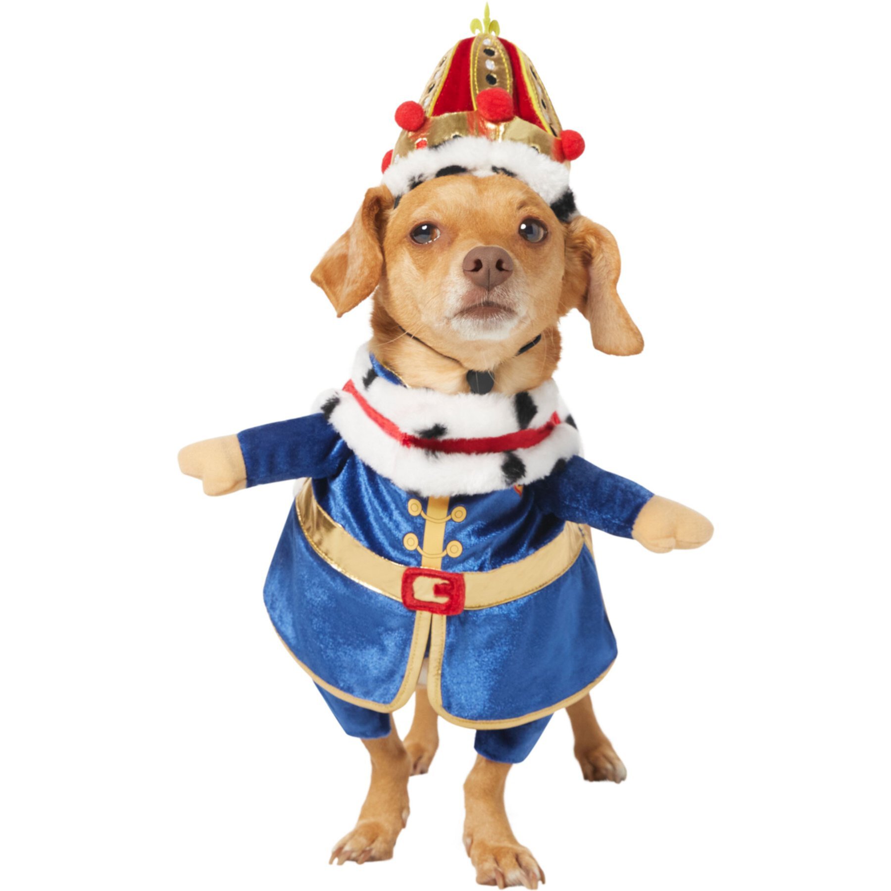 Frisco Front Walking Royal King Dog & Cat Costume Frisco