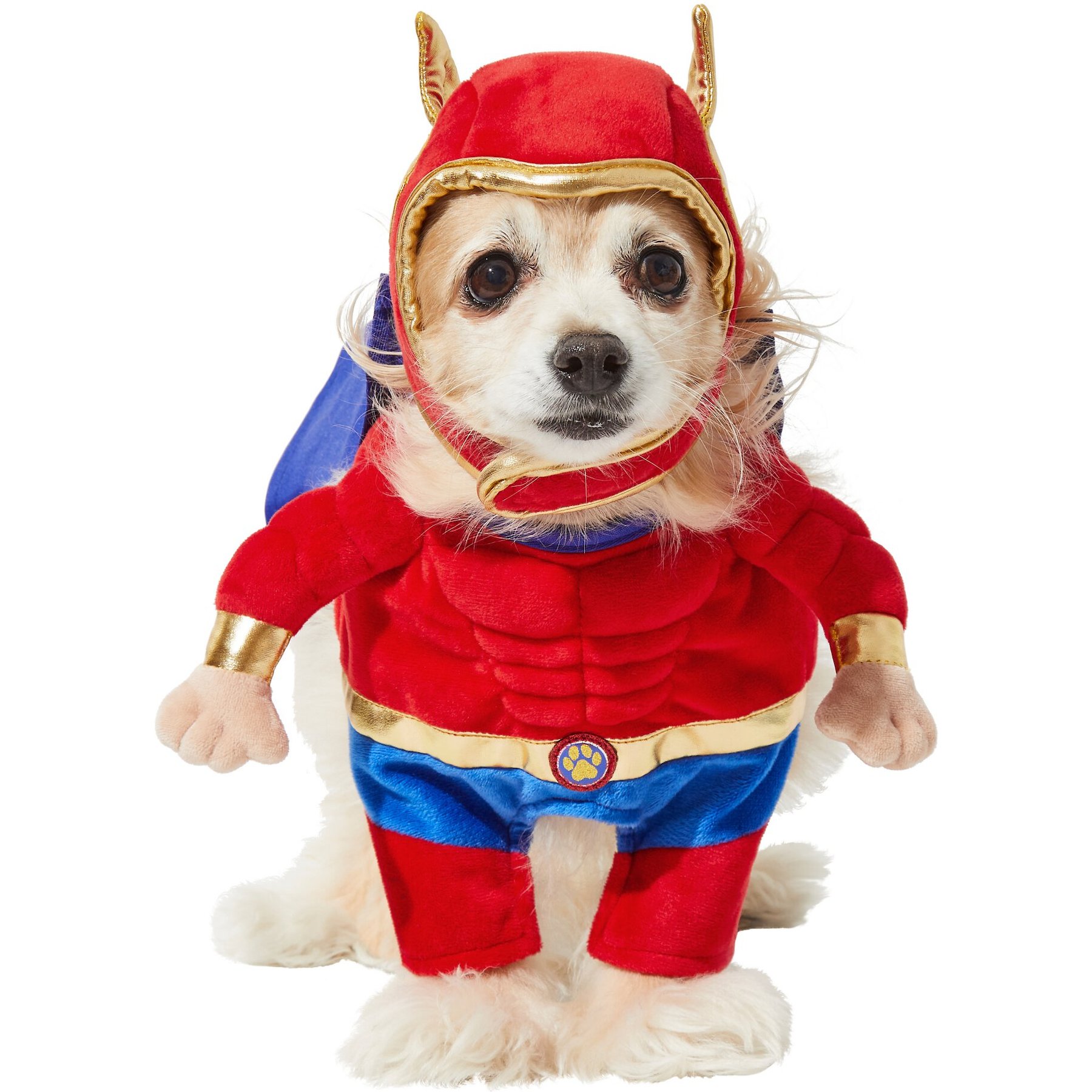 Frisco Front Walking Superhero Dog & Cat Costume Frisco