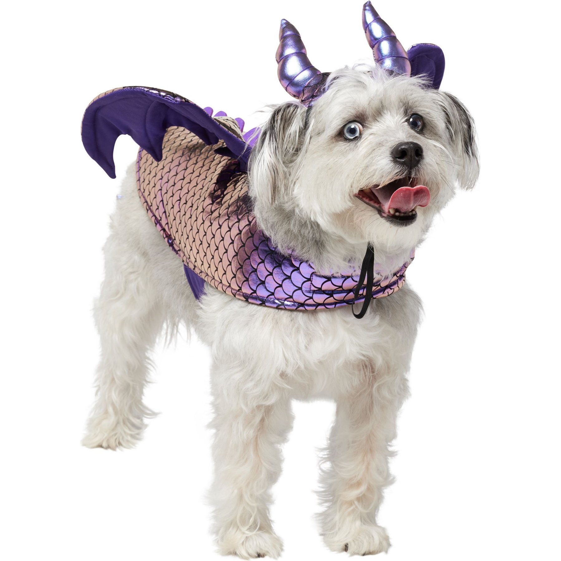 Frisco Dragon Dog & Cat Costume Accessory Frisco