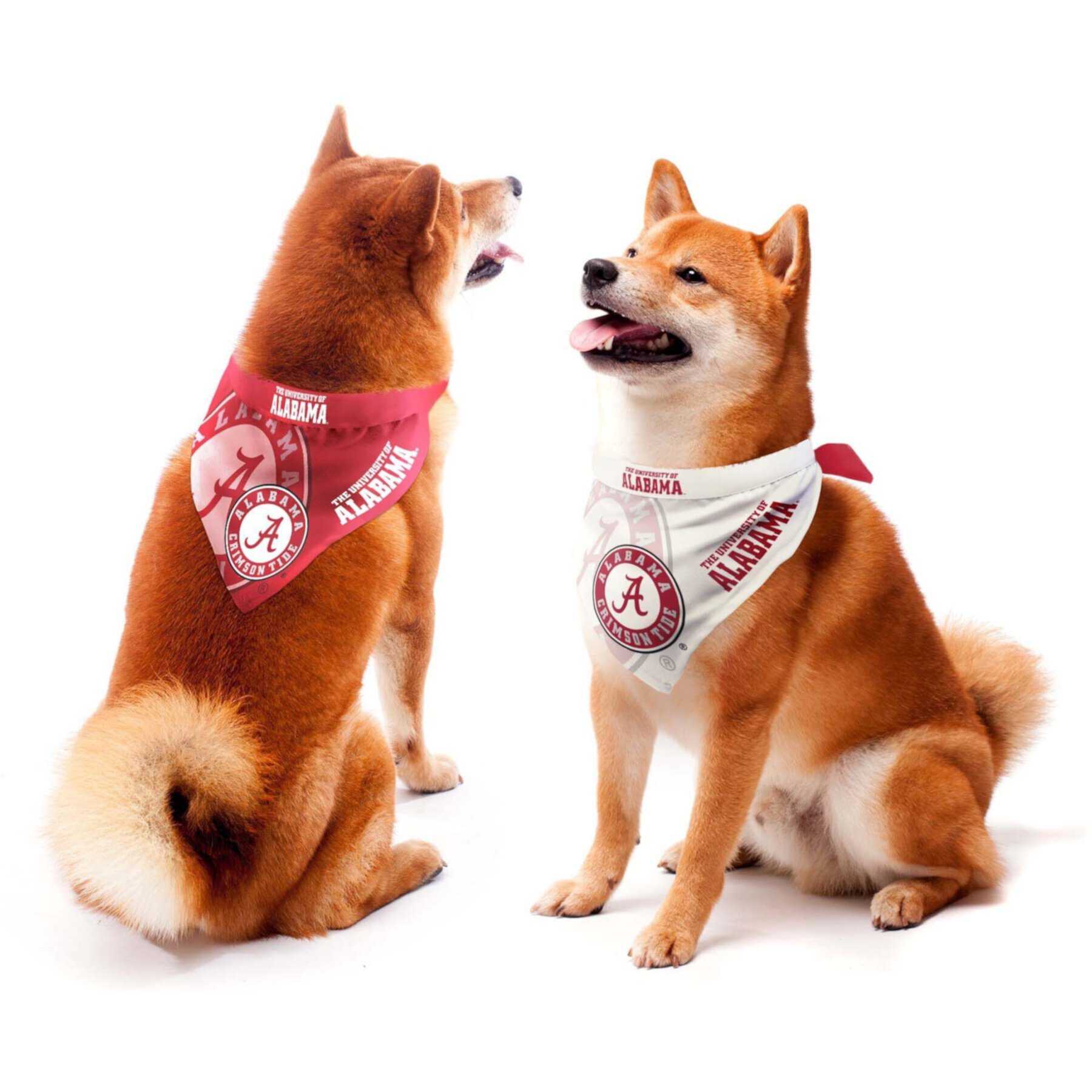 Littlearth NCAA Home & Away Bandana Set for Dogs & Cats Littlearth