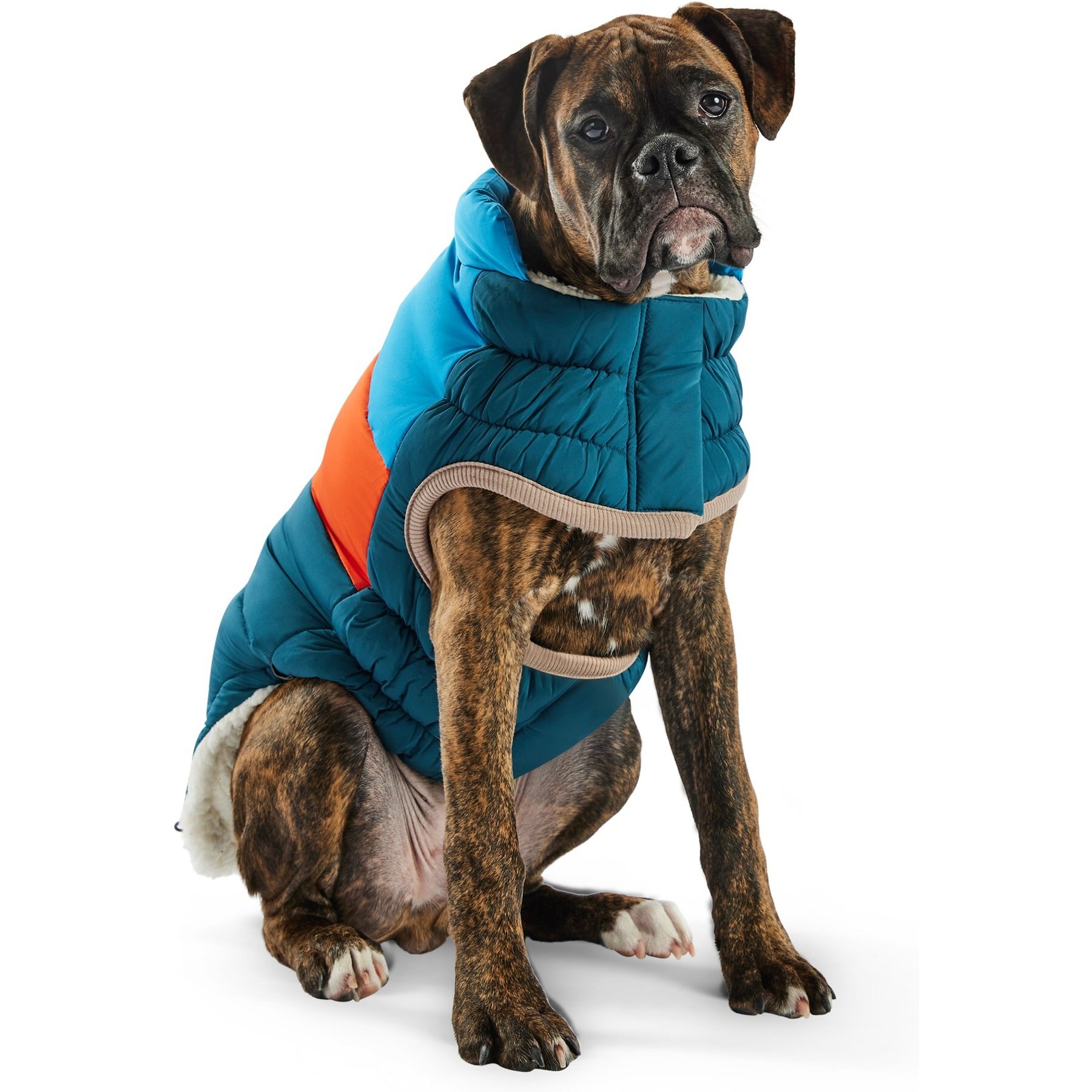 GF Pet Block Color Puffer Dog Coat, Dark Teal GF Pet