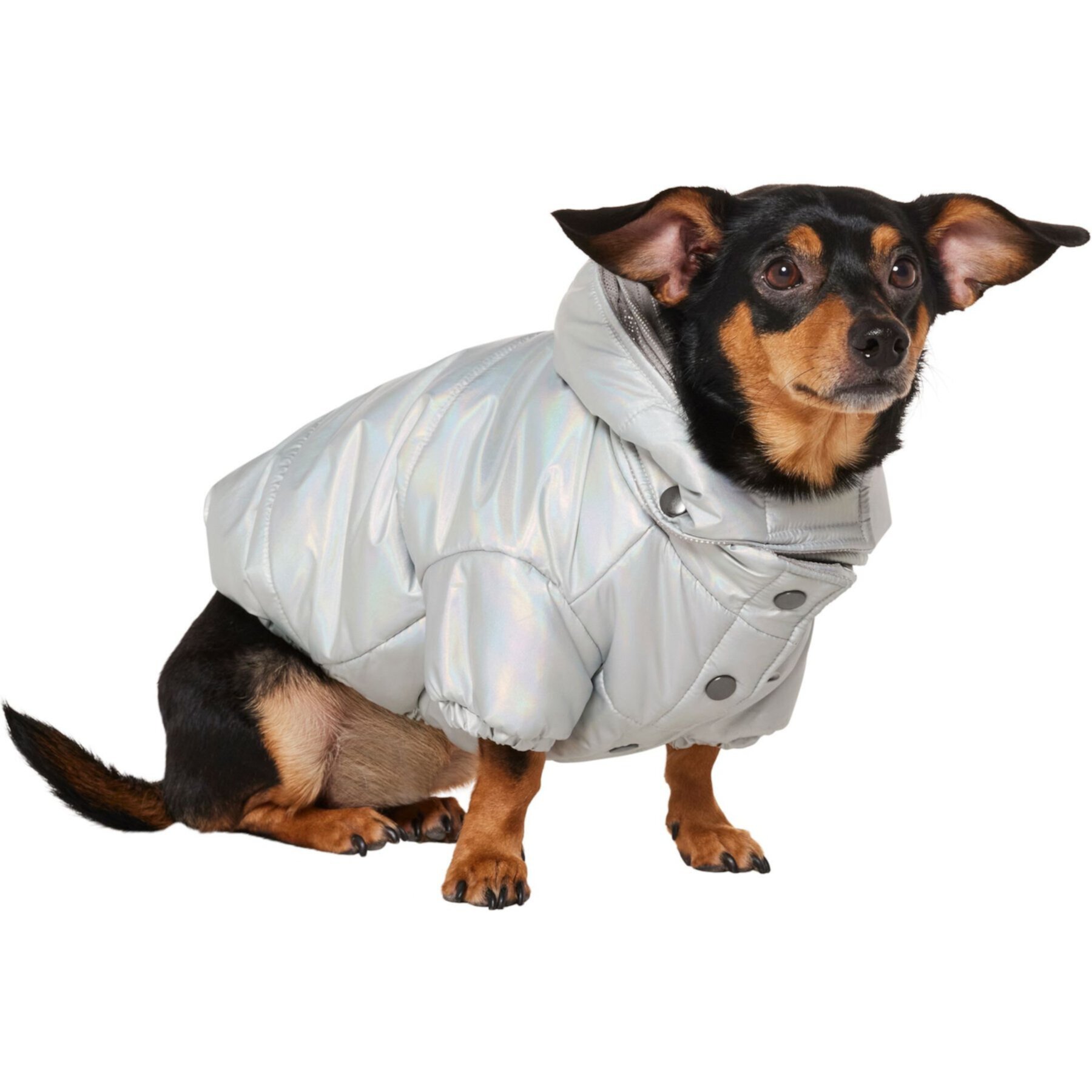 Frisco Heavy Weight Iridescent Quilted Dog & Cat Hooded Puffer Coat Frisco