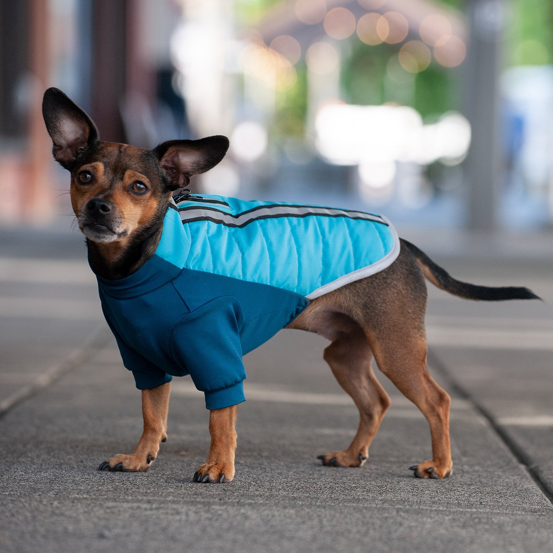 FurHaven Pro-Fit Dog Coat Furhaven