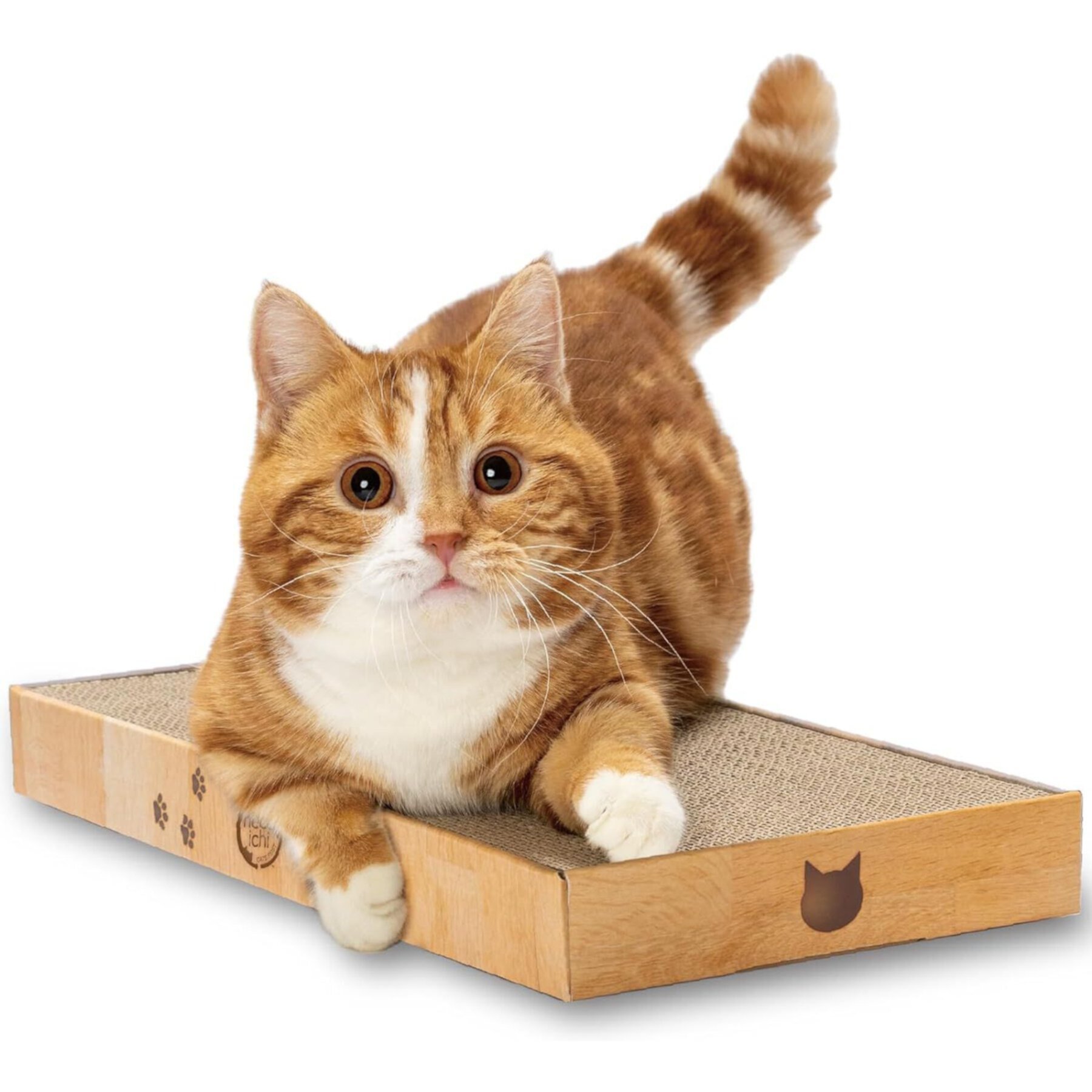 Necoichi Premium High-Density Cat Scratcher Necoichi