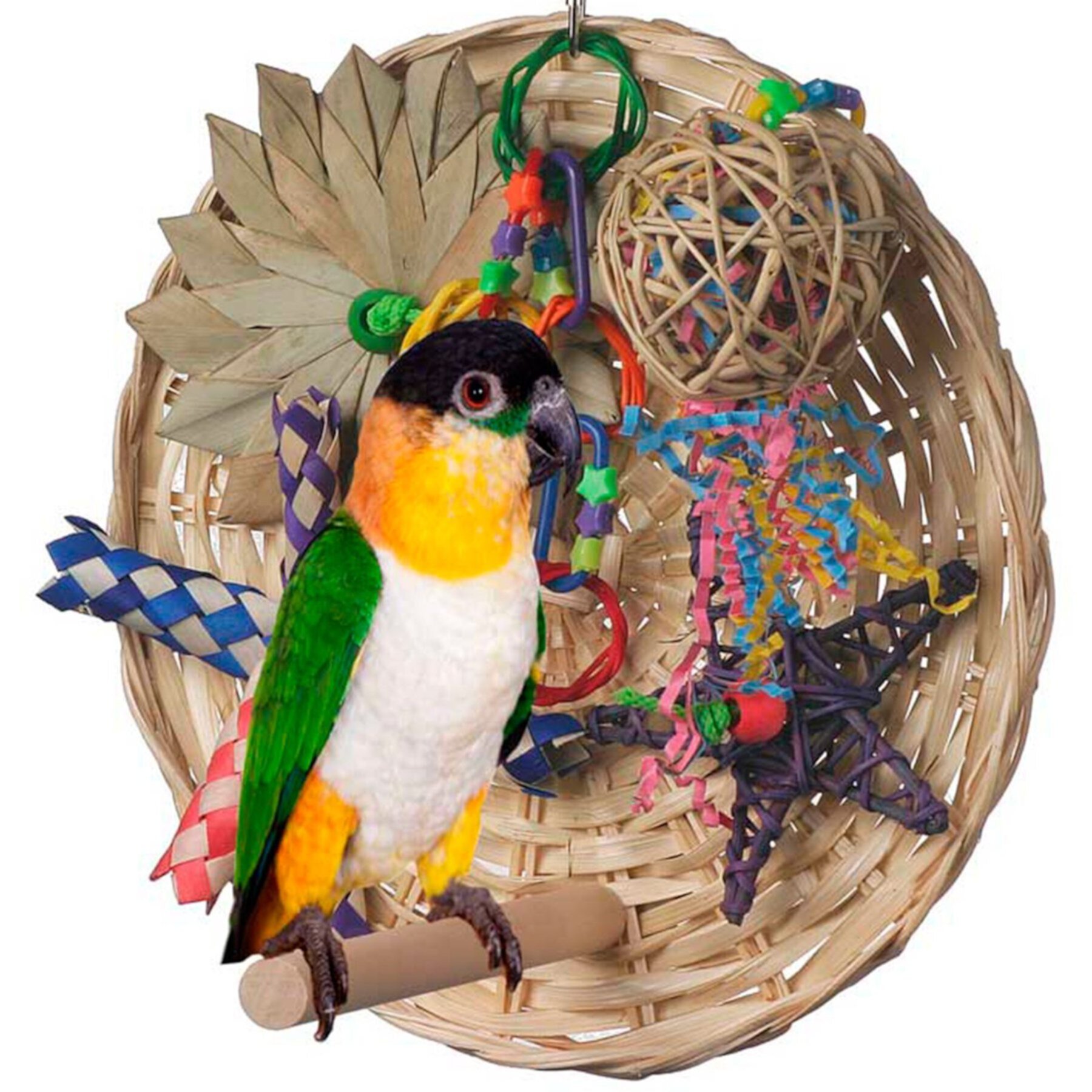 Super Bird Creations Busy Birdie Play Perch Bird Toy, Small/Medium Super Bird Creations