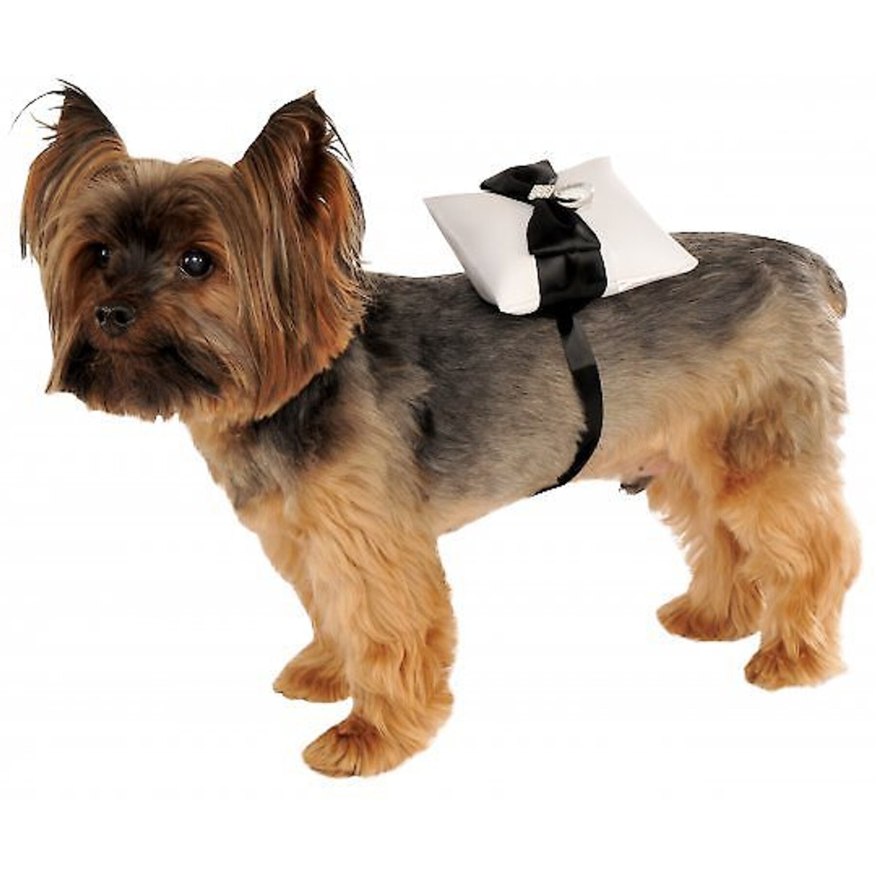 Rubie's Costume Company Ring Bearer Pillow Dog & Cat Costume Rubie's Costume Company