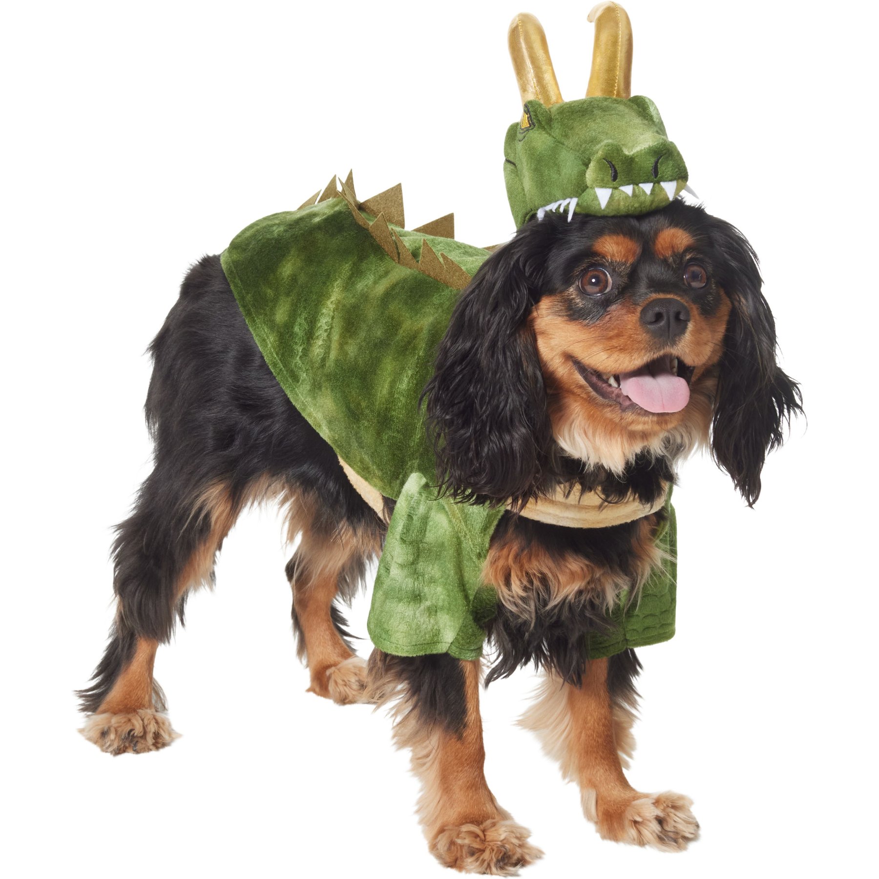 Marvel 's Loki Alligator Dog & Cat Costume Marvel