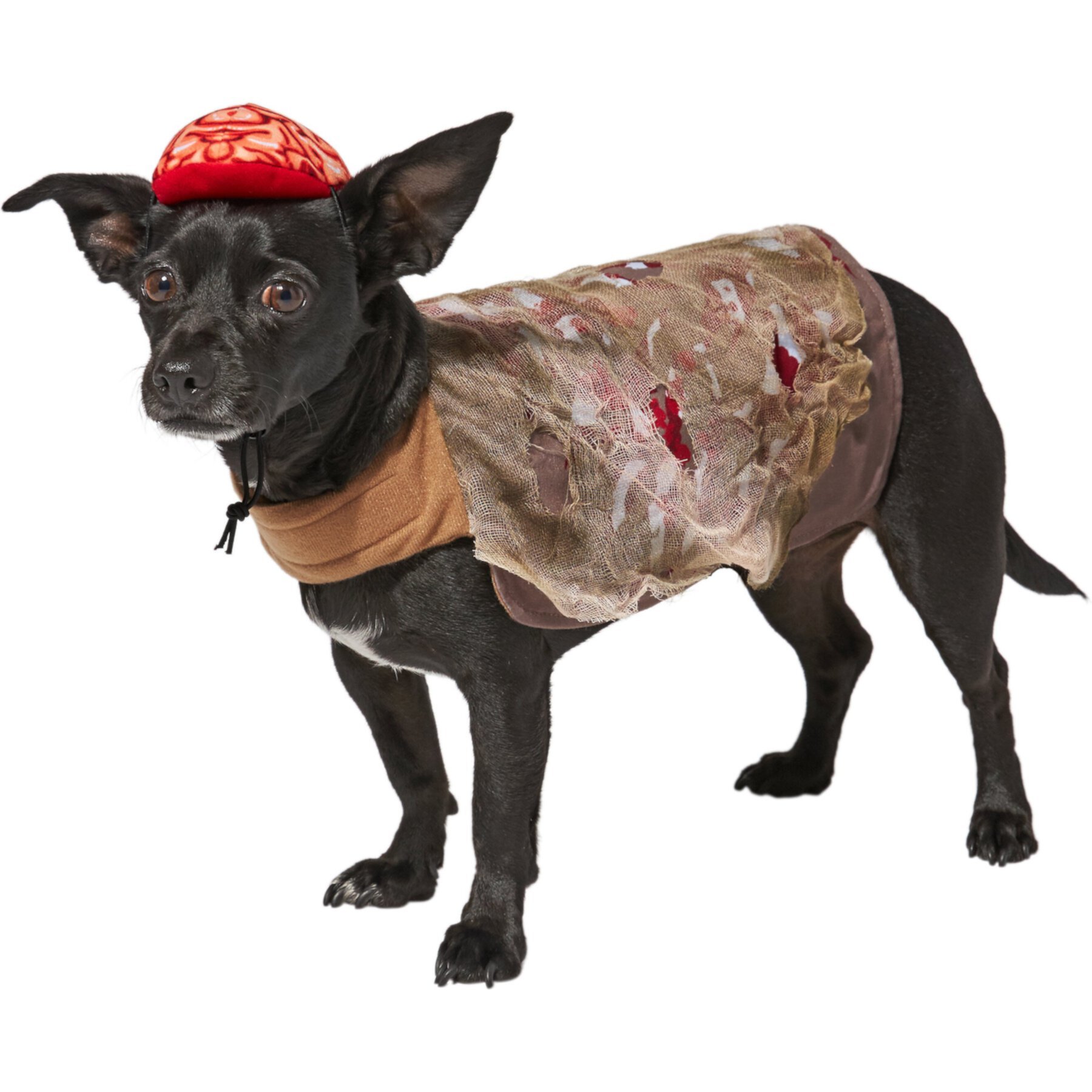 Frisco Zombie Dog & Cat Costume Frisco