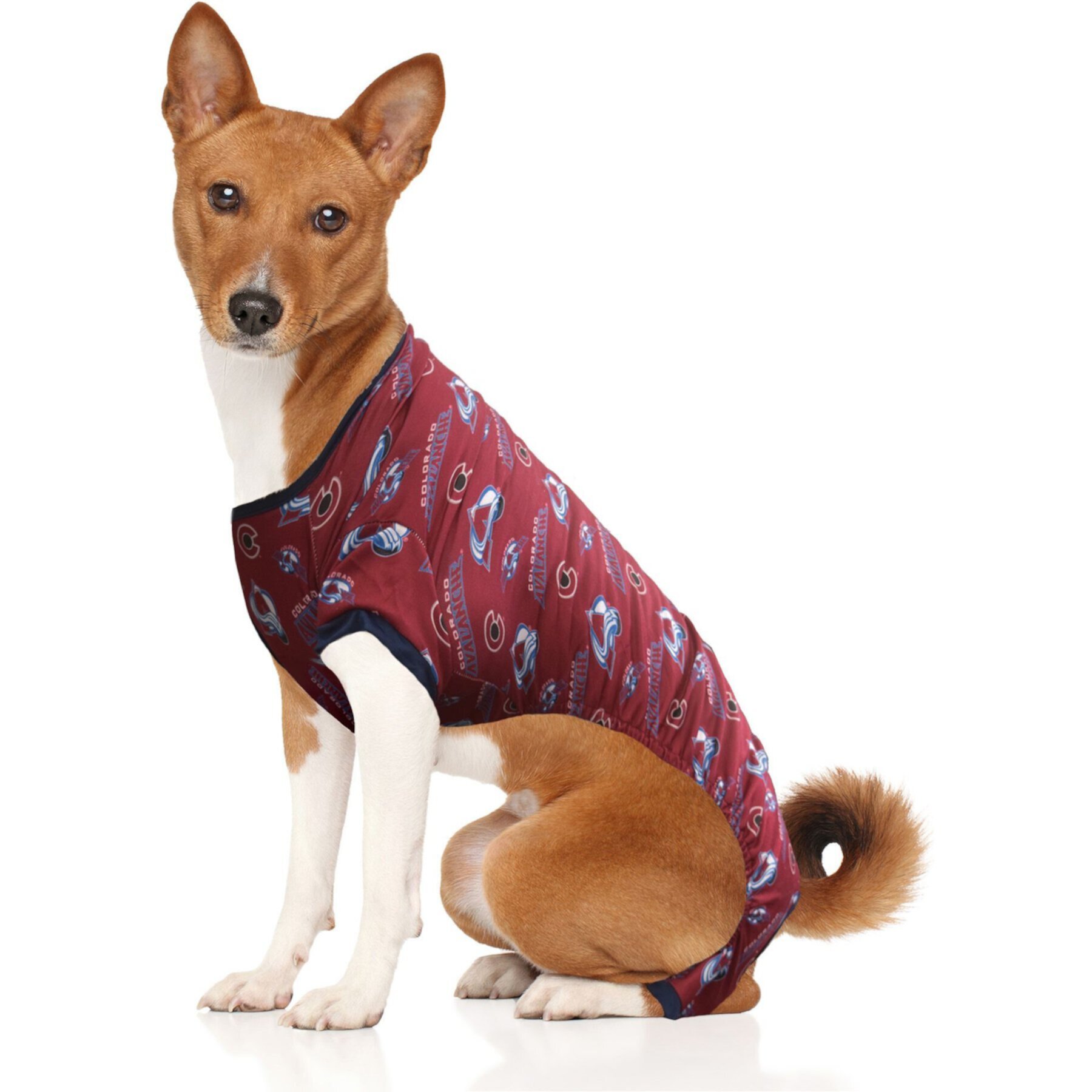 Littlearth NHL Pajamas for Dogs & Cats Littlearth