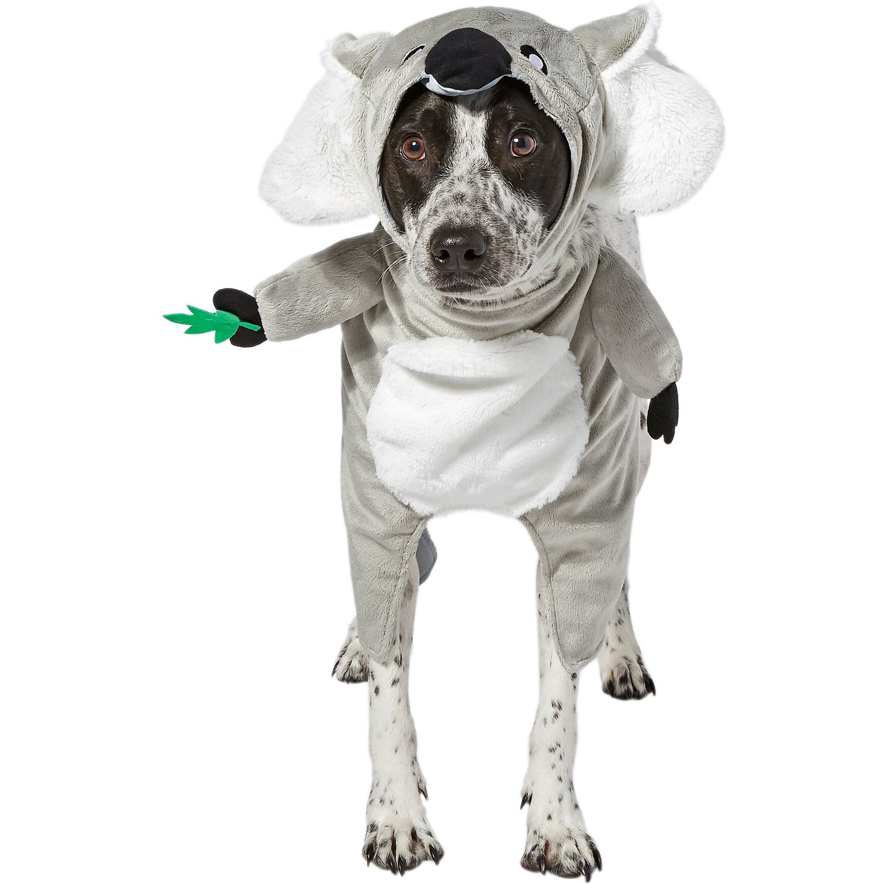 Frisco Front Walking Koala Dog & Cat Costume Frisco