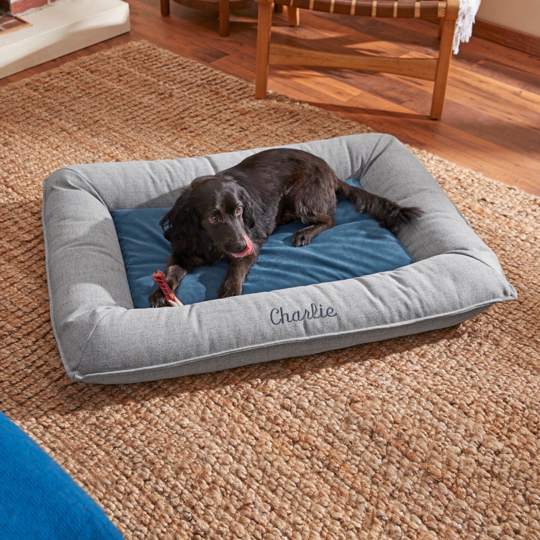 Frisco Orthopedic Personalized Bolster Dog Bed w/Removable Cover Frisco