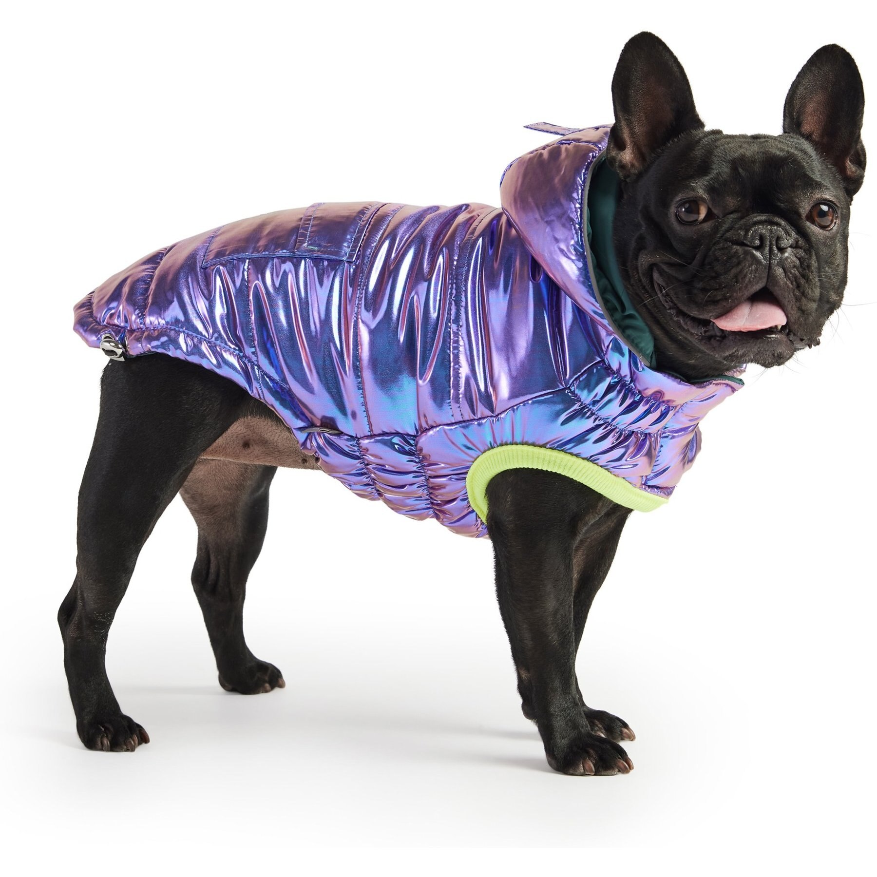 GF Pet Recylced Parka Dog Coat, Iridescent GF Pet