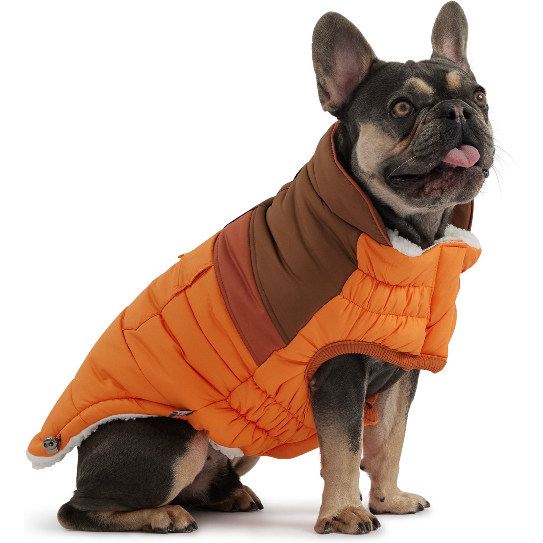 GF Pet Camplife Puffer Dog Coat, Orange GF Pet