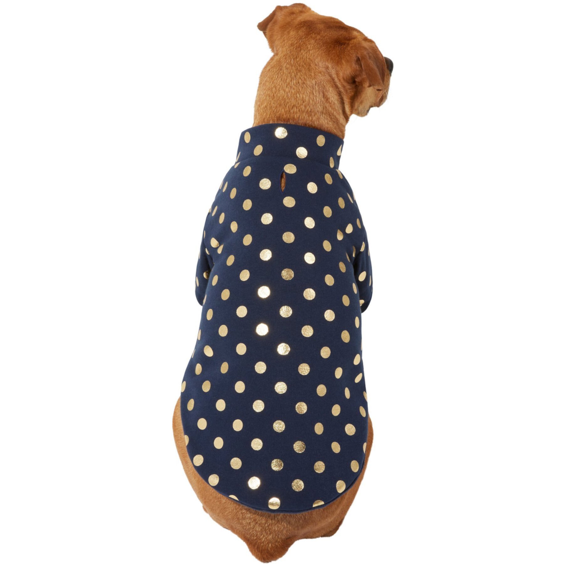 Frisco Lightweight Gold Dotted Dog & Cat Jacket, Navy Frisco