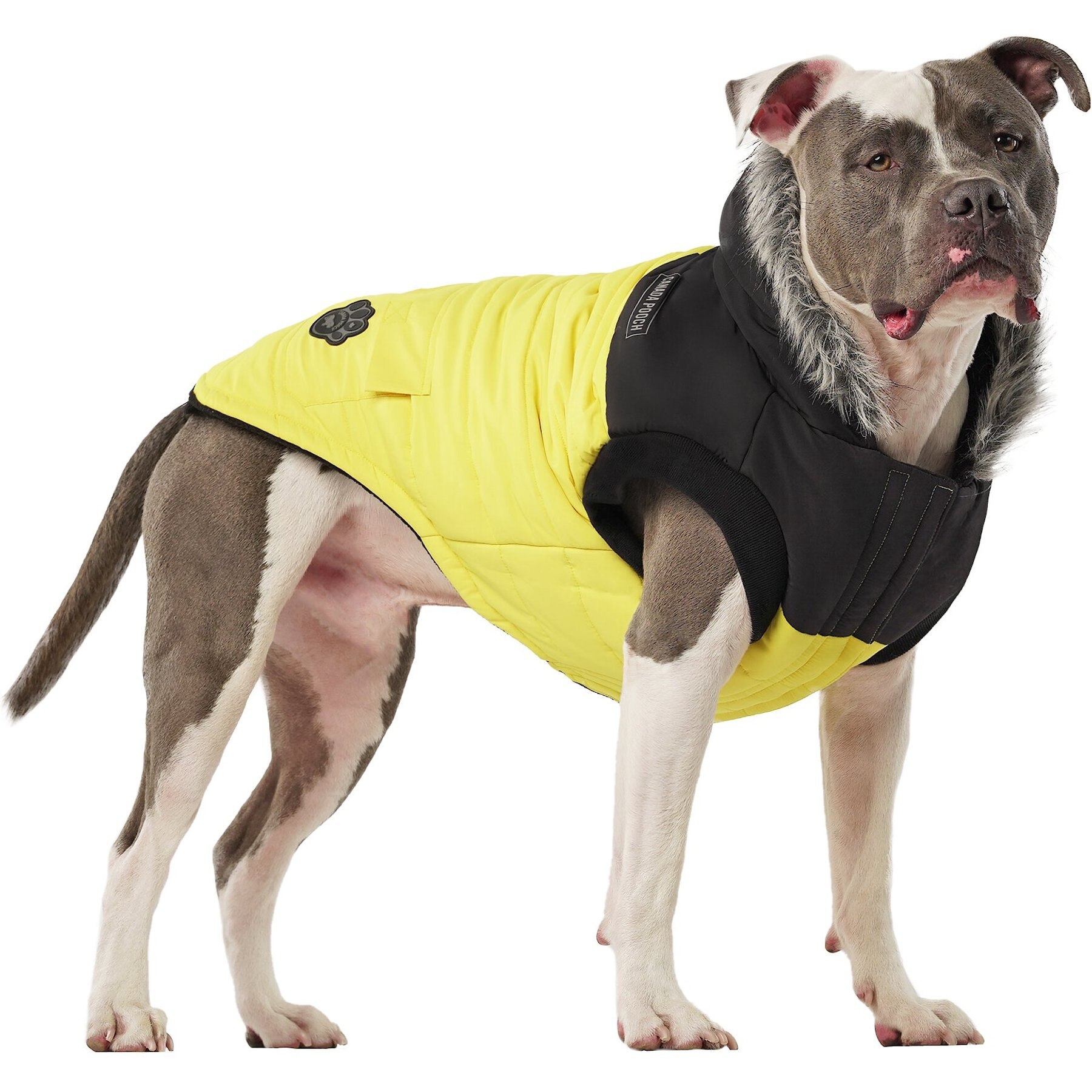 Canada Pooch True North Insulated Dog Parka Canada Pooch