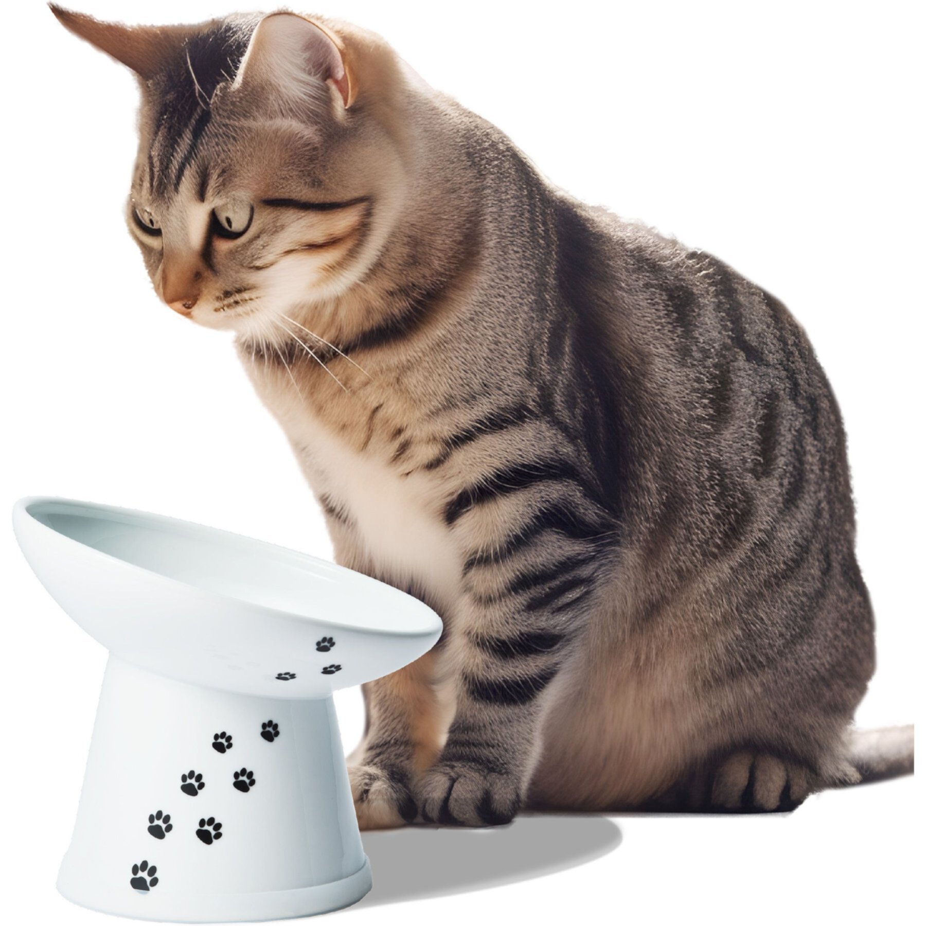 Necoichi Tilted Stress Free Raised Cat Food Bowl Necoichi