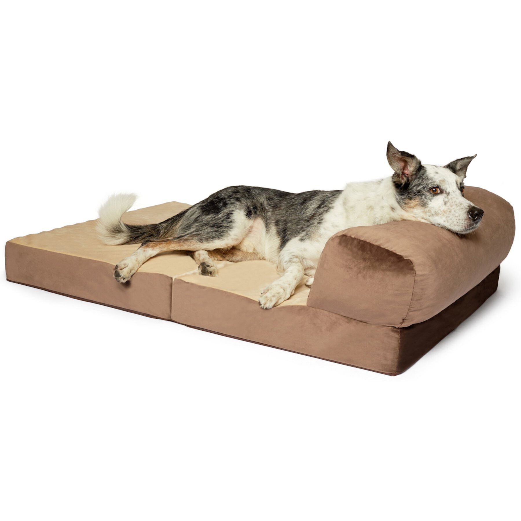 Precious Tails Velvet Foldable Foam Chaise Bolster Cat & Dog Bed Precious Tails