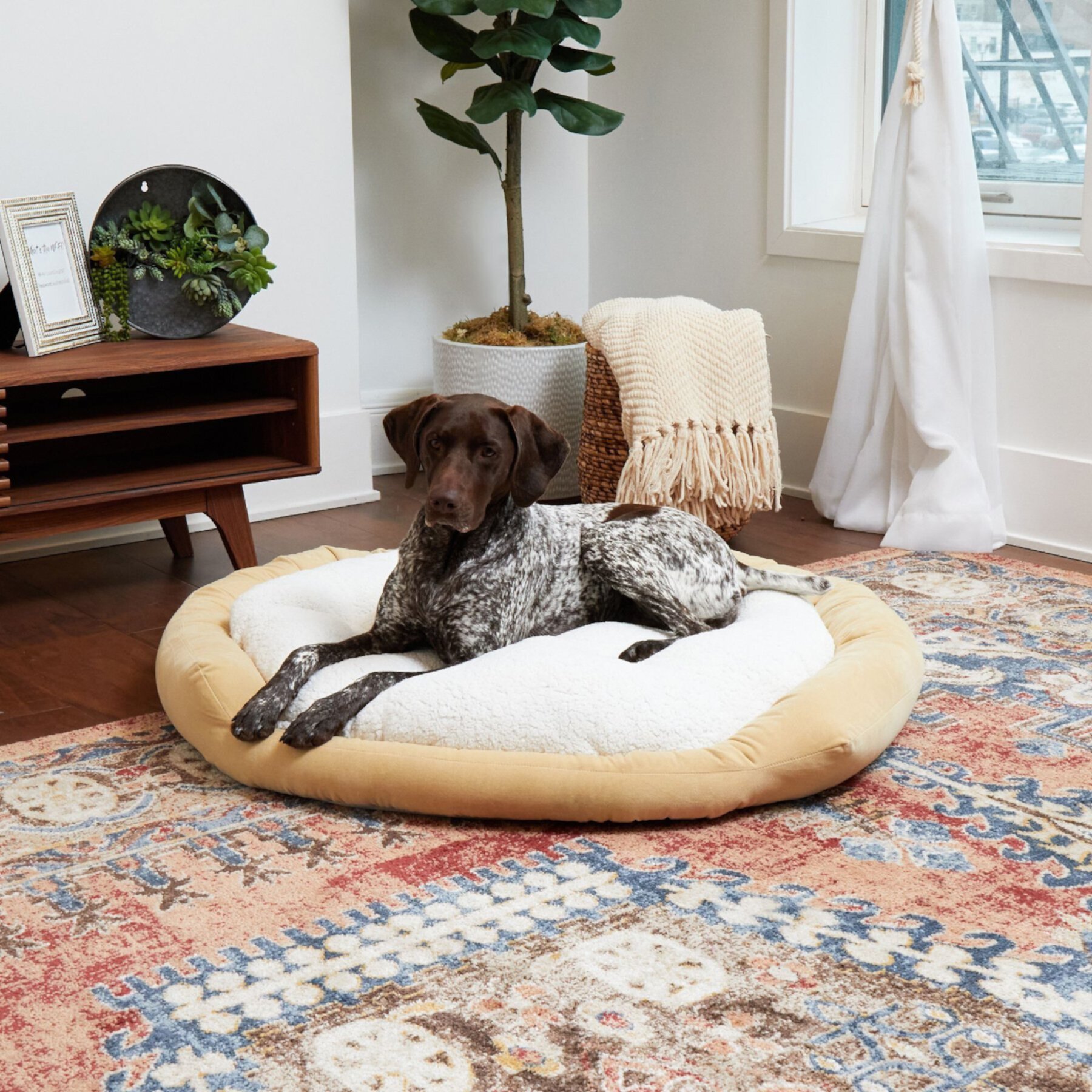 Happy Hounds Marley Donut Dog Bed Happy Hounds