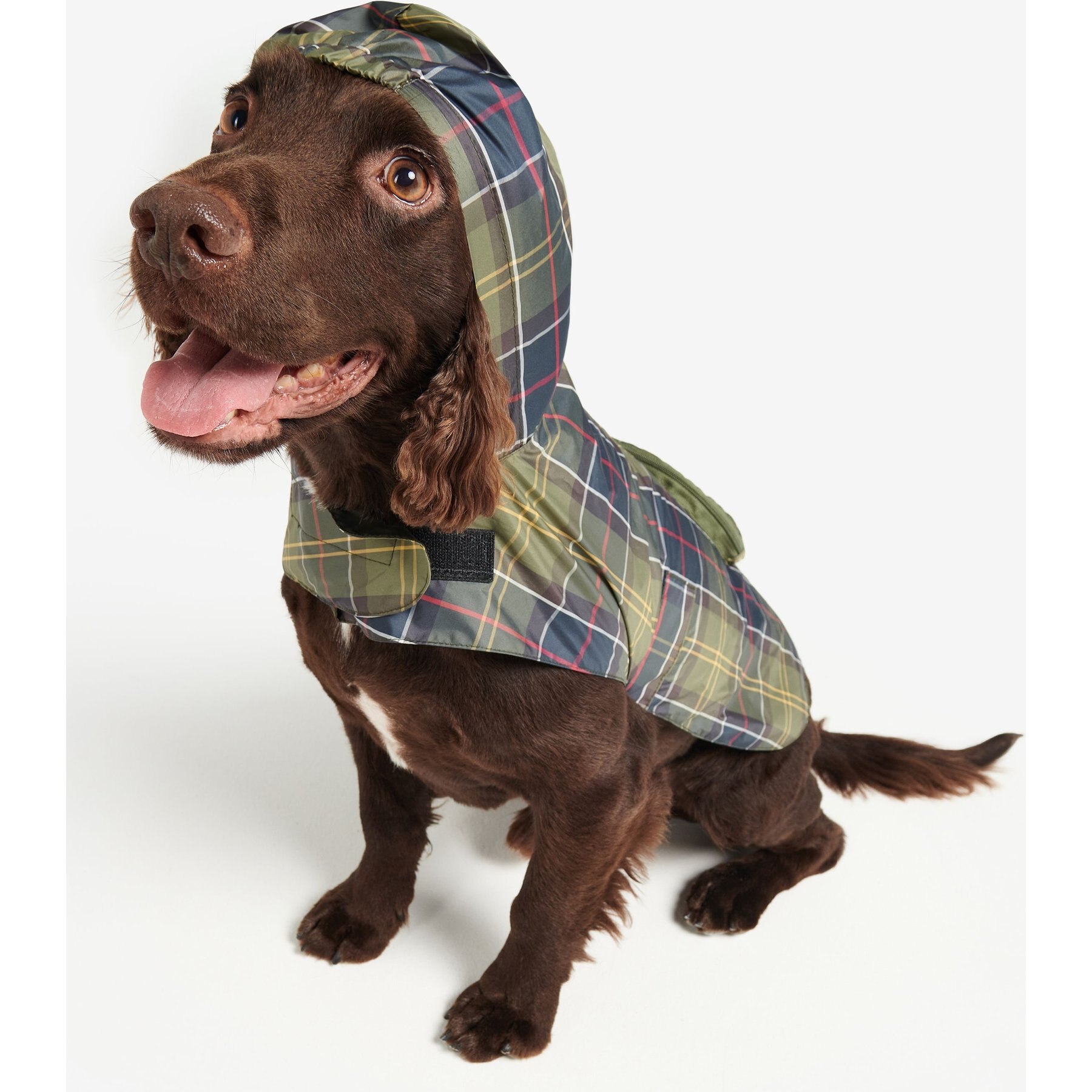 Barbour Packable Tartan Dog Raincoat Barbour