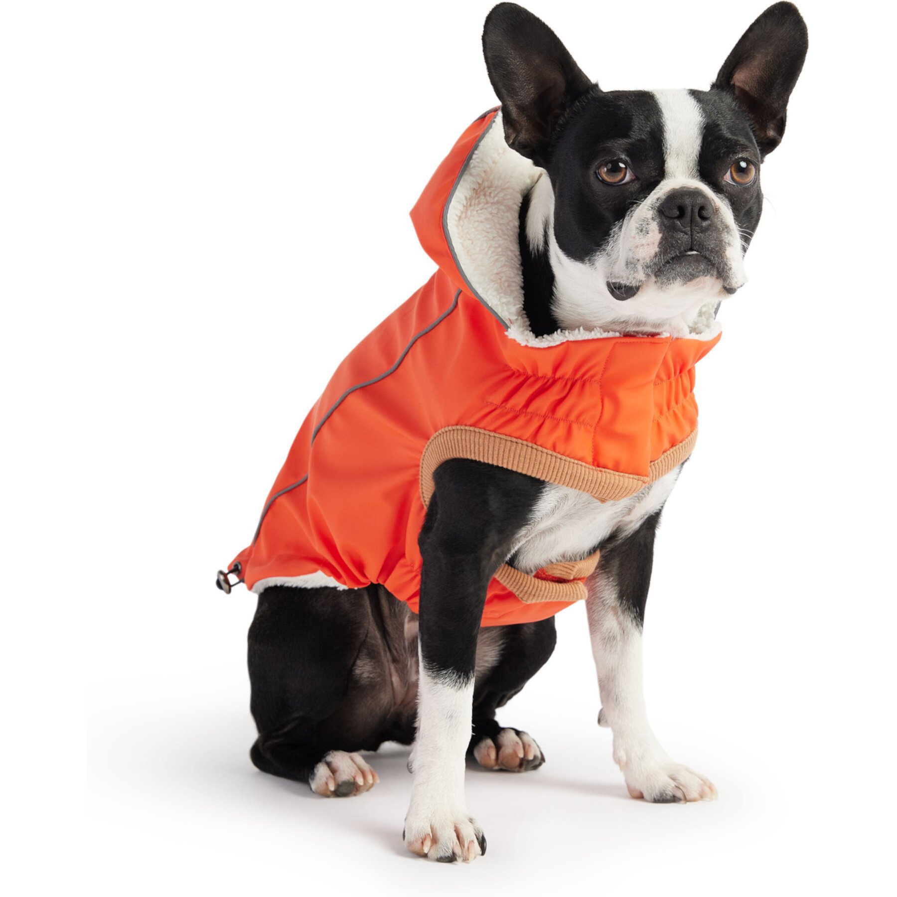 GF Pet Elasto-Fit Insulated Dog Raincoat GF Pet