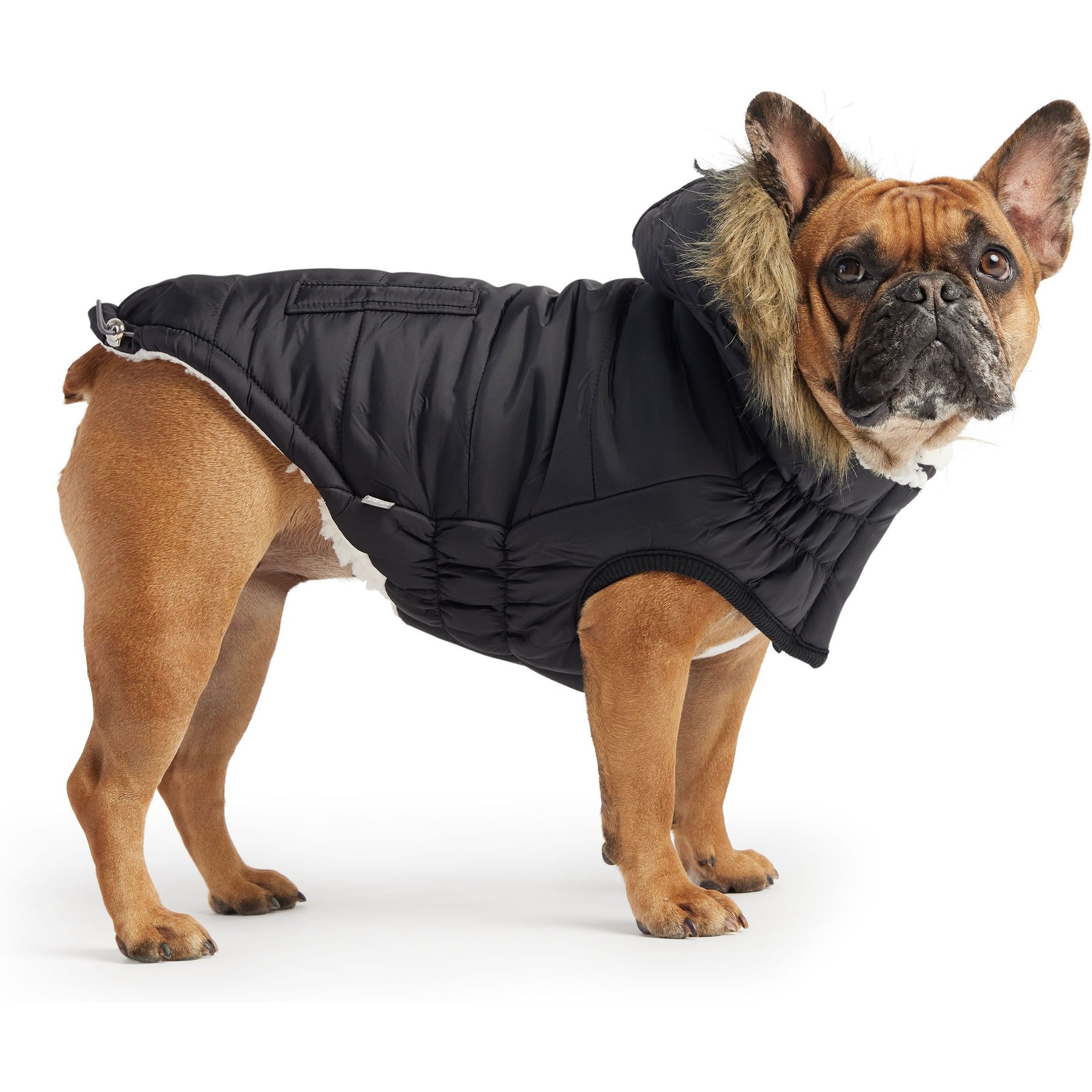 GF Pet Elasto-Fit Urban Insulated Dog Parka, Black GF Pet