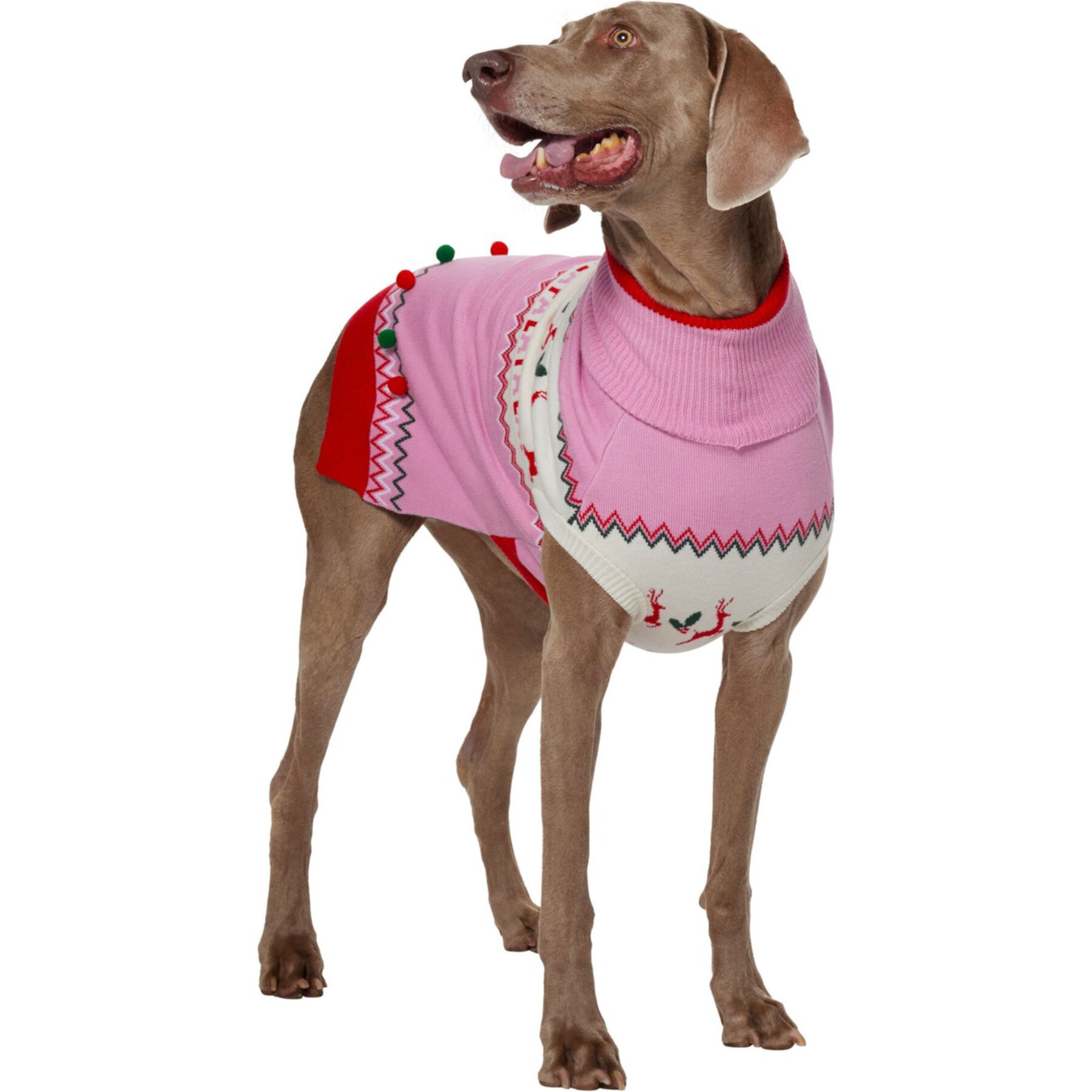 Frisco Fa La La 3D Dog & Cat Turtleneck Sweater Frisco