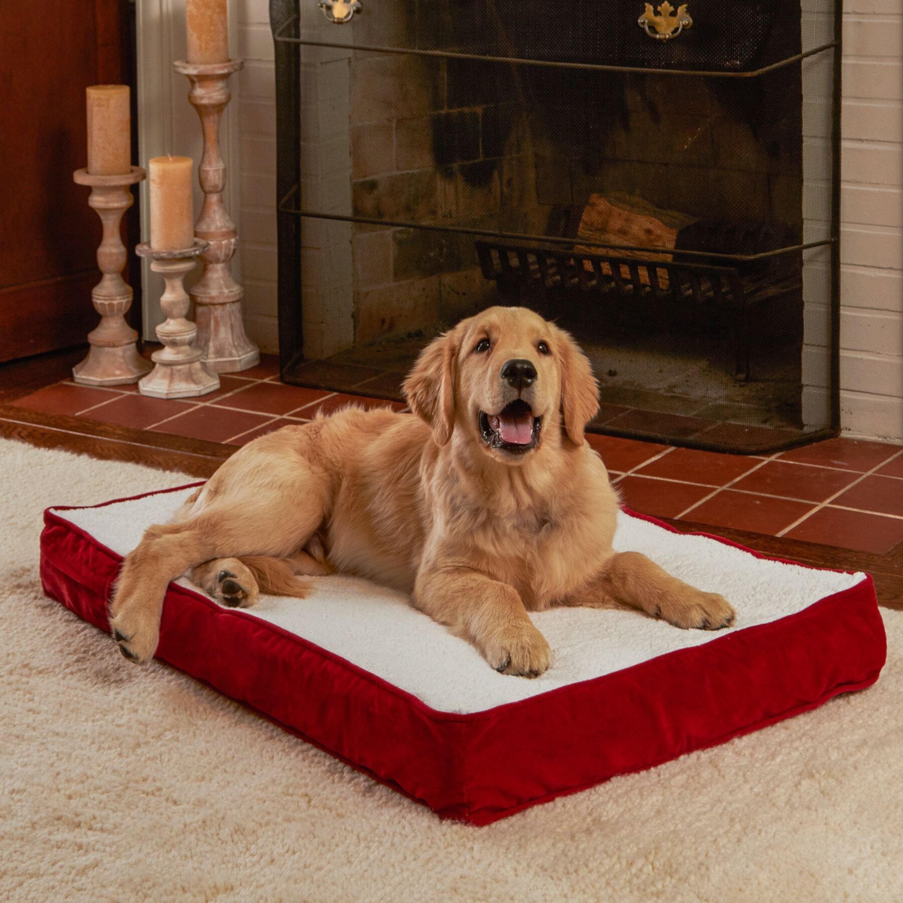 Happy Hounds Otis Orthopedic Pillow Dog Bed with Removable Cover Happy Hounds