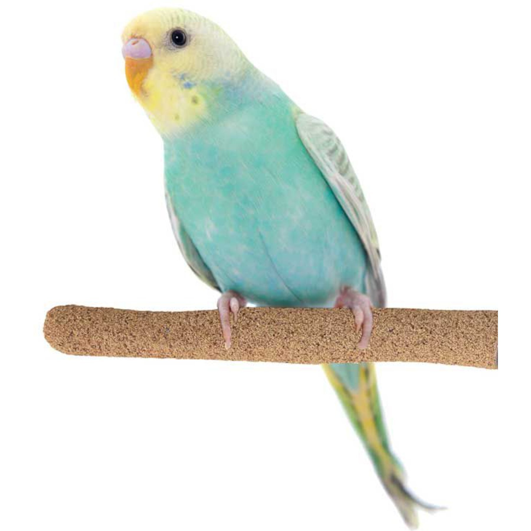 Super Bird Creations Sure-Grip Grooming Perch, Small Super Bird Creations