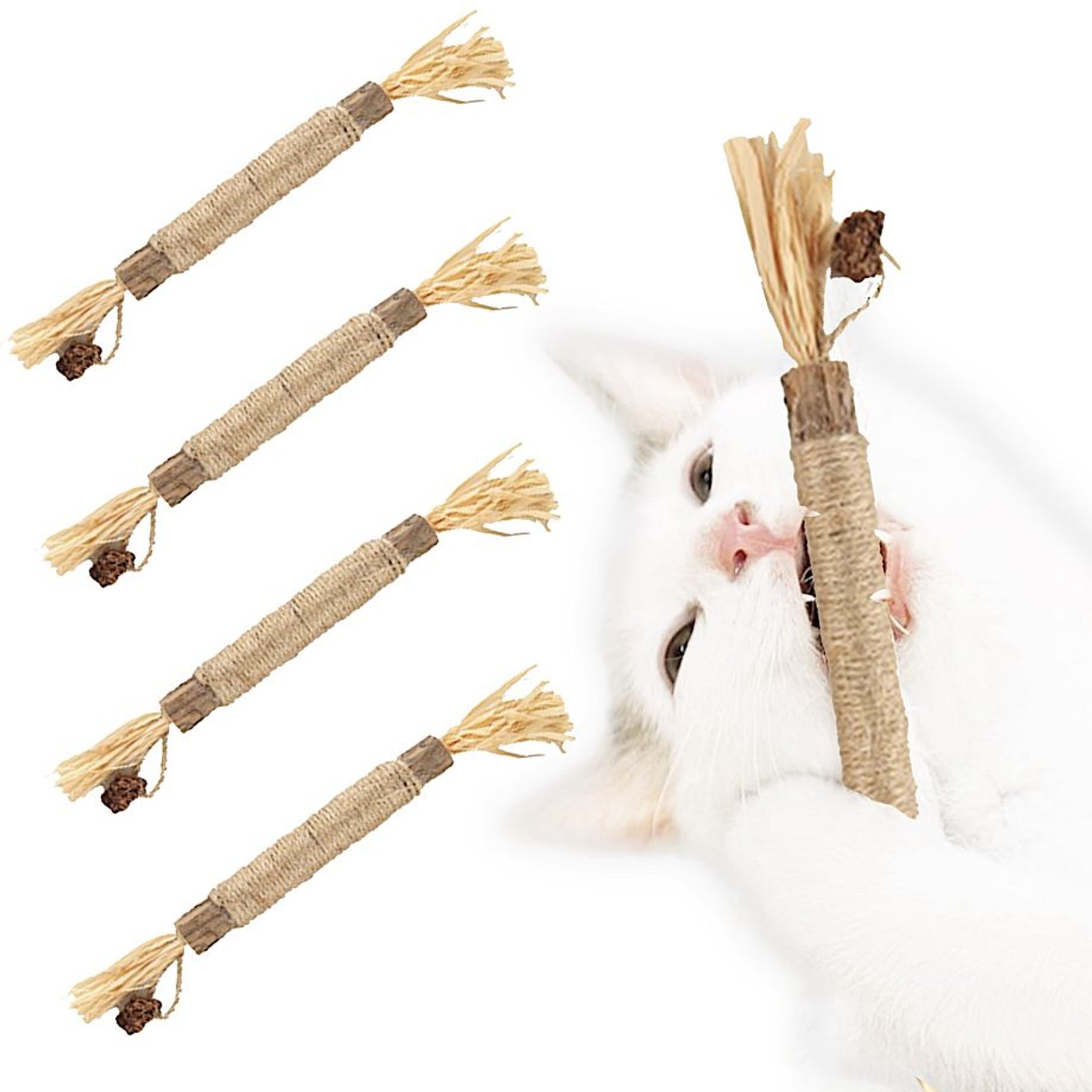 SunGrow Silvervine Teething Chew Sticks Dental Treat & Feather Cat Toy with Catnip, 5 count SunGrow