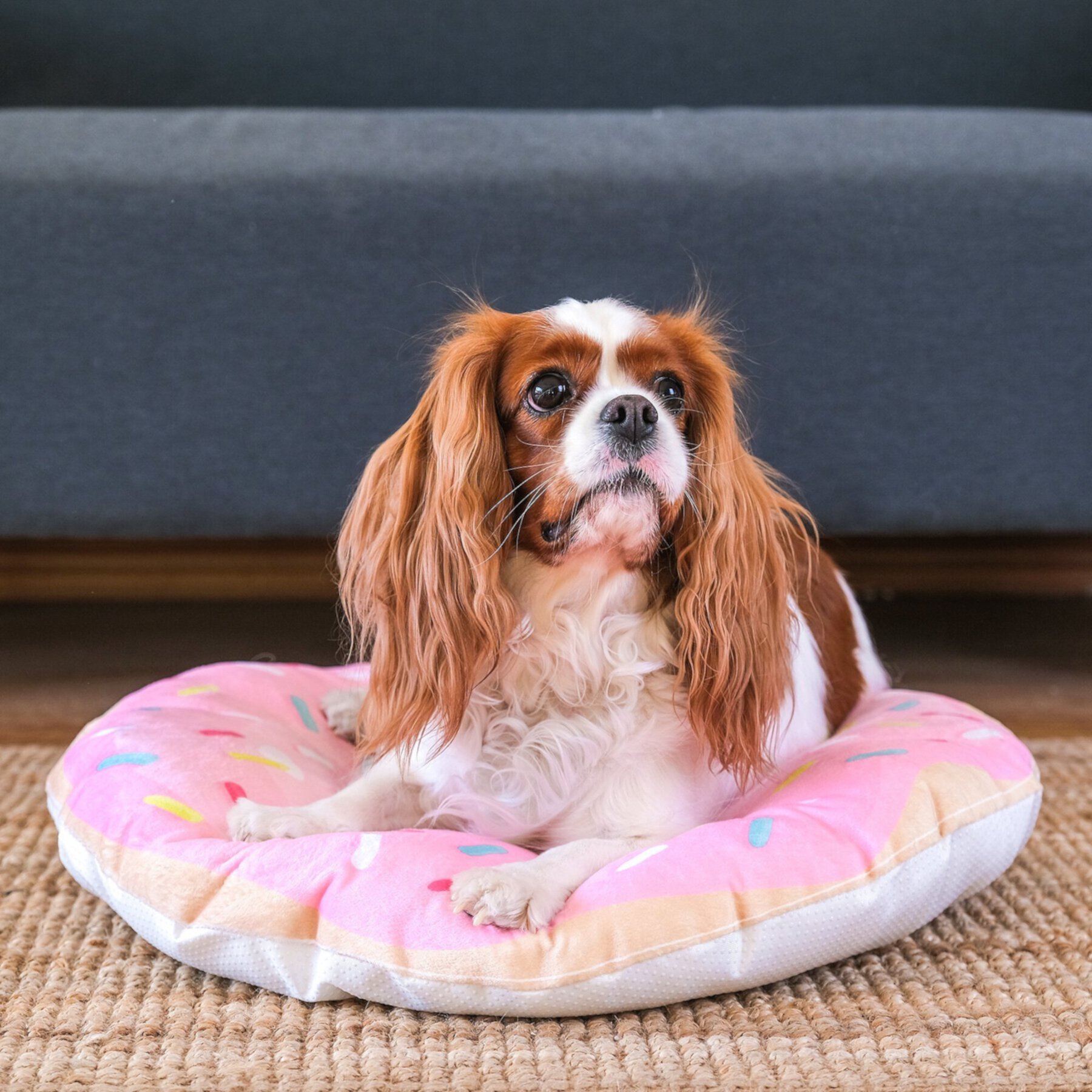 HappyCare Textiles 3D Realistic Donut Print Bolster Dog Bed Happycare Textiles