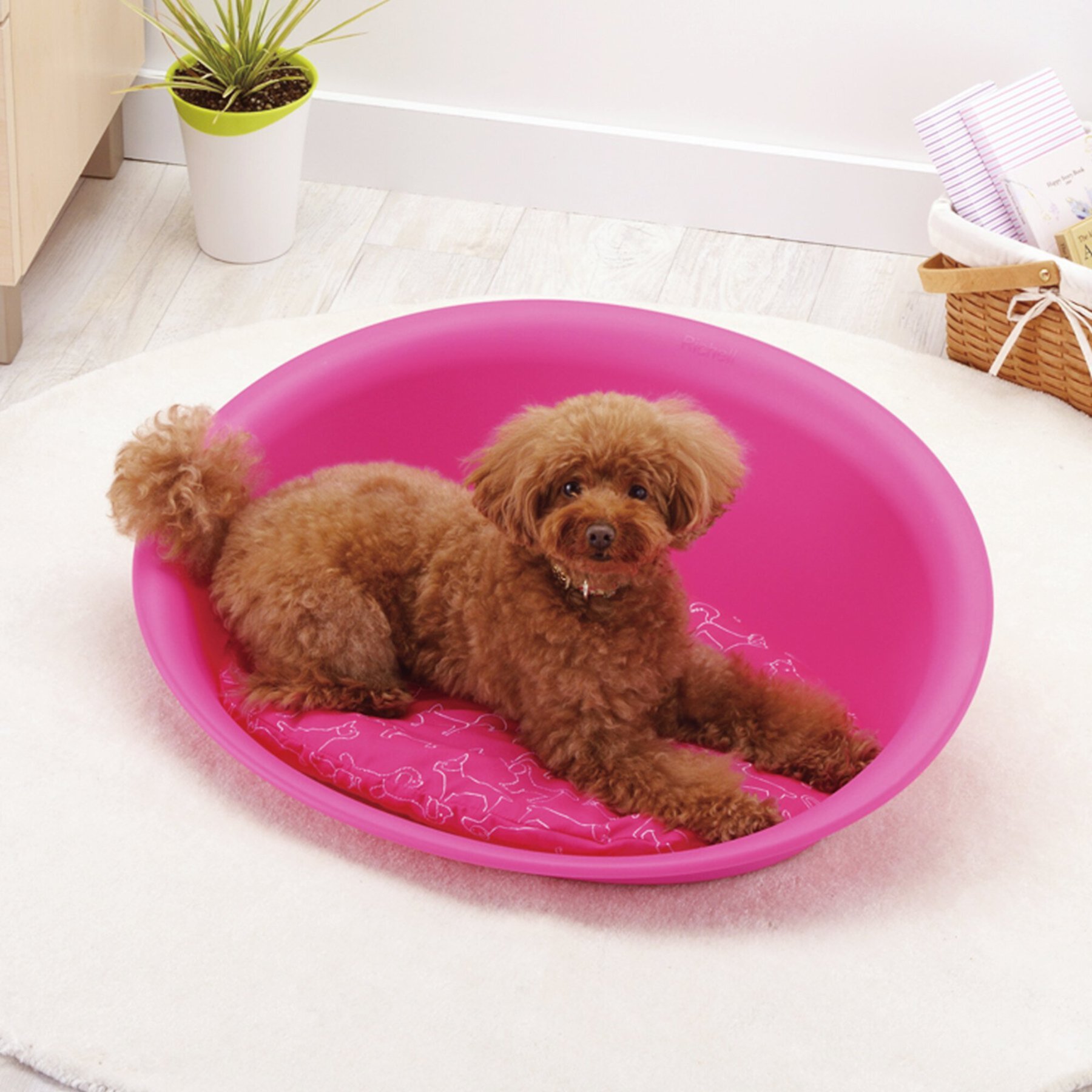 Richell Oval Cat & Dog Bed, Pink Richell