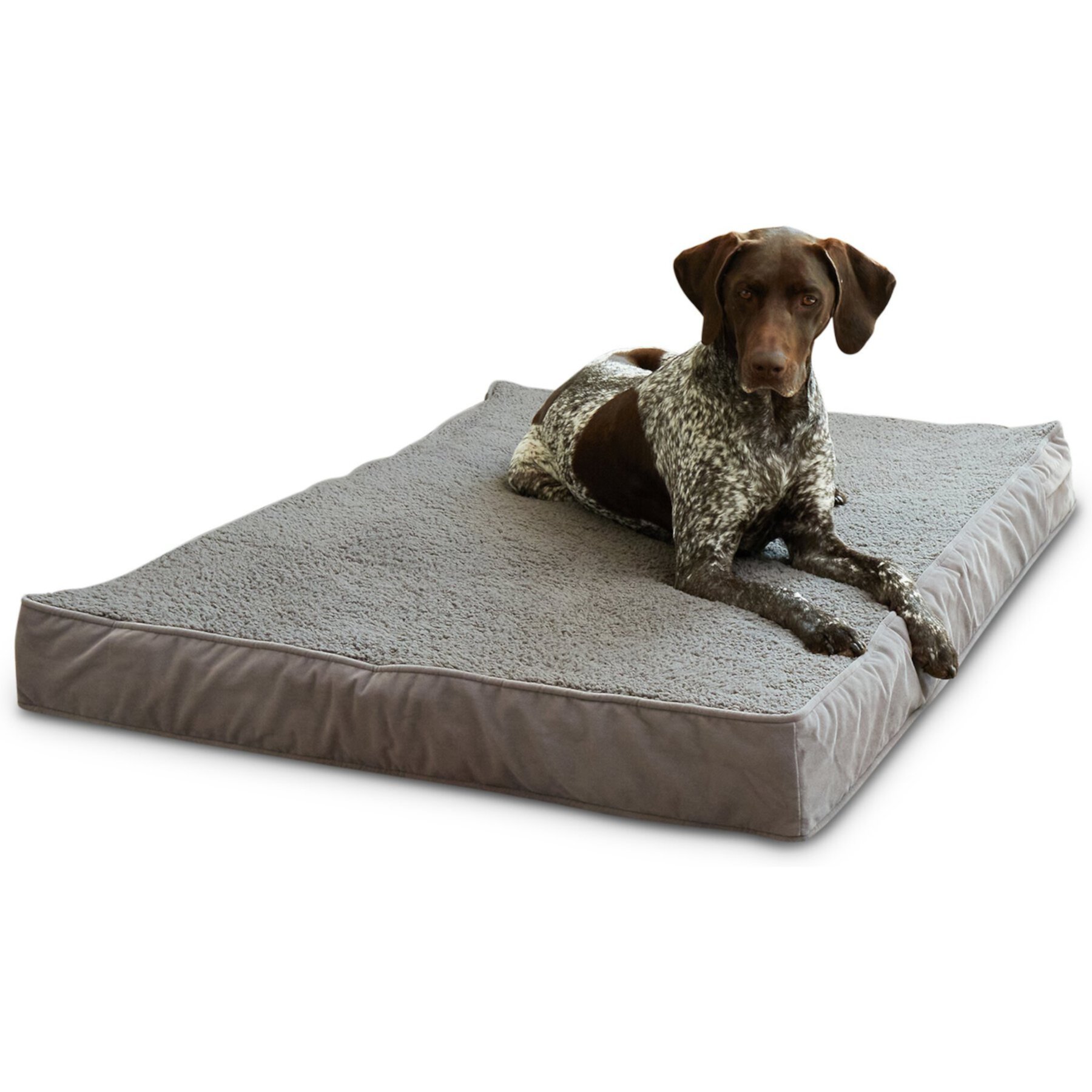 Happy Hounds Otis Orthopedic Pillow Dog Bed with Removable Cover, Gray Happy Hounds