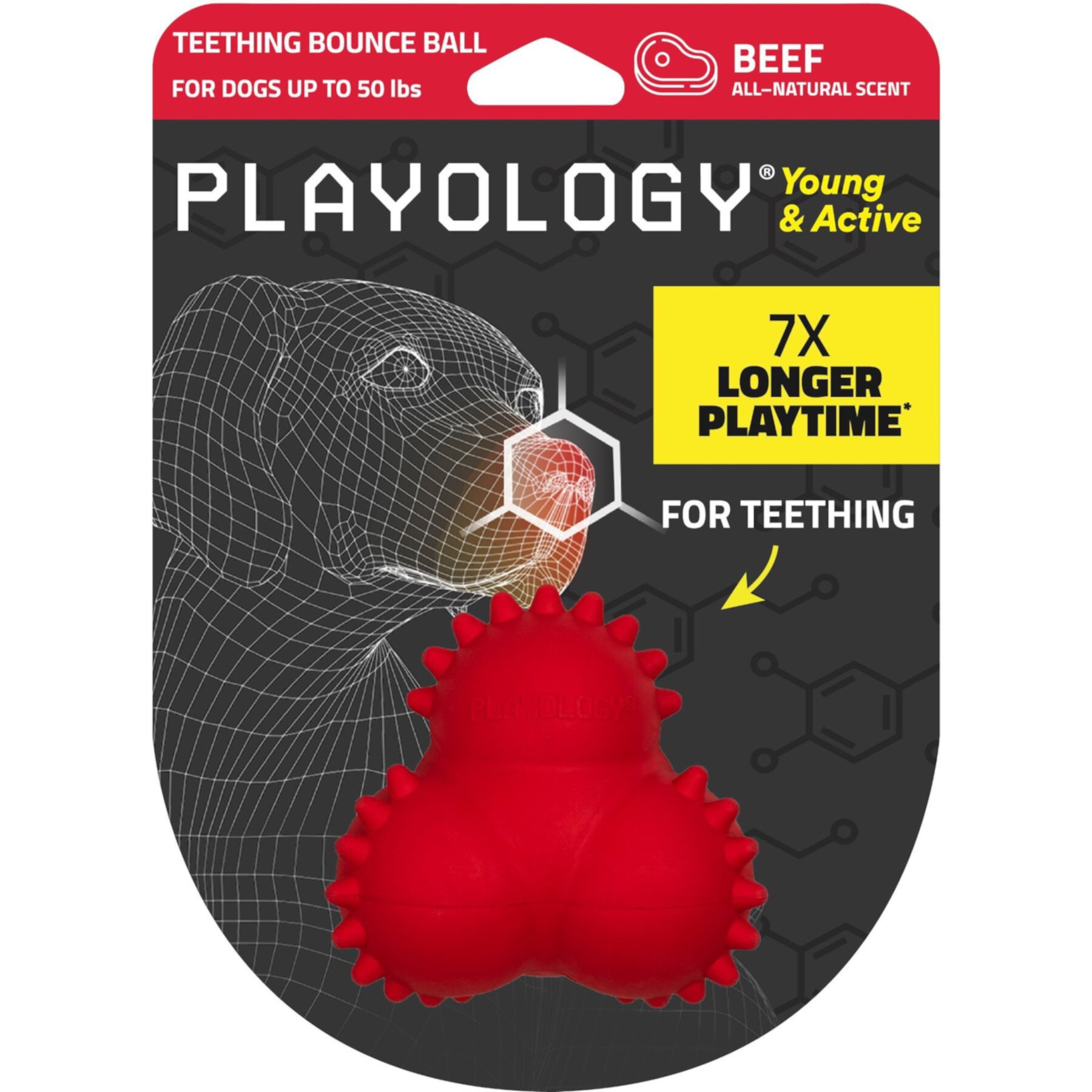 Playology Young & Active Teething Bounce Ball Peanut Butter Dog Toy Playology