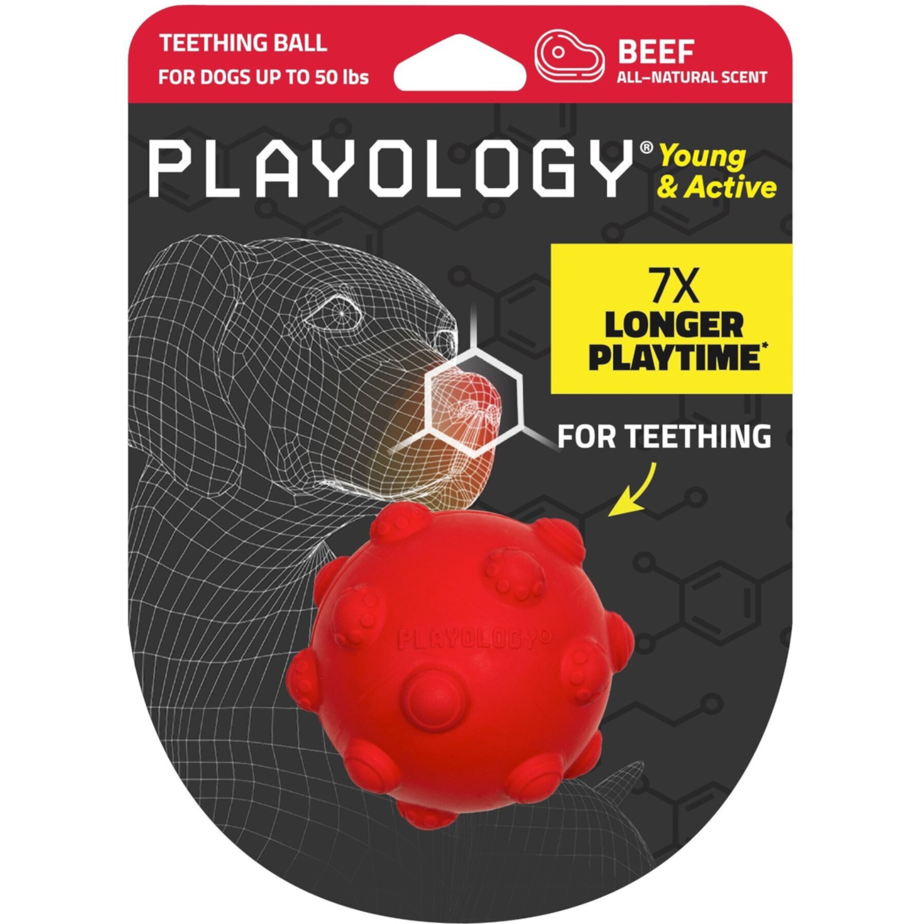 Playology Young & Active Teething Ball Beef Chew Toy, Red Playology