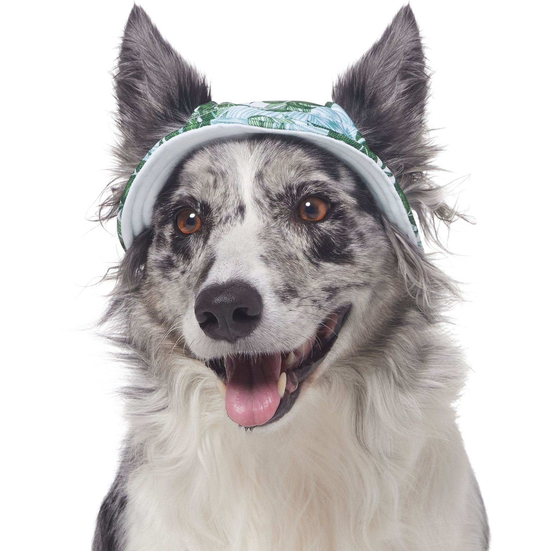 Frisco Palm Leaf Short Brimmed Bucket Dog & Cat Hat Frisco