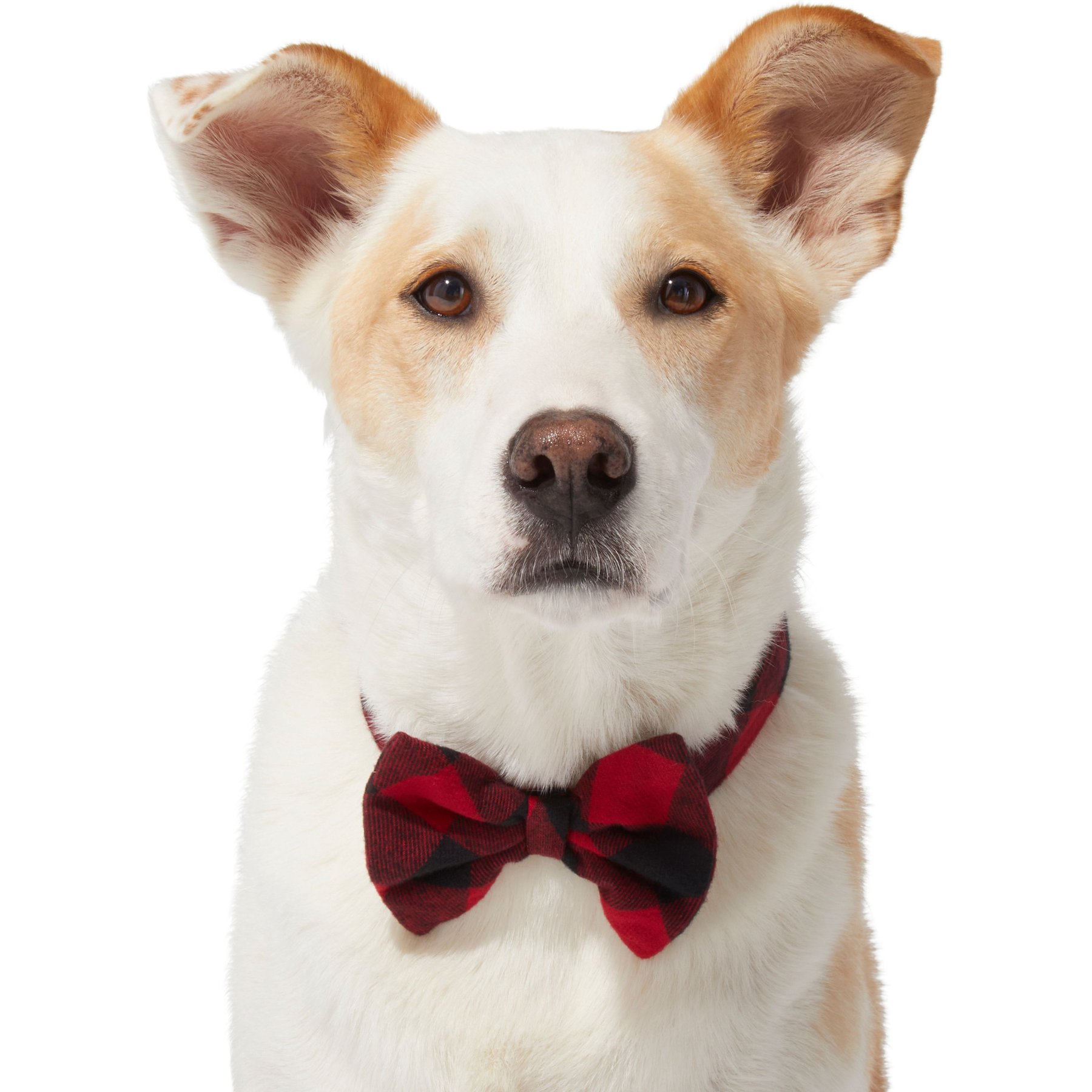 Frisco Red Buffalo Plaid Dog & Cat Bow Tie Frisco