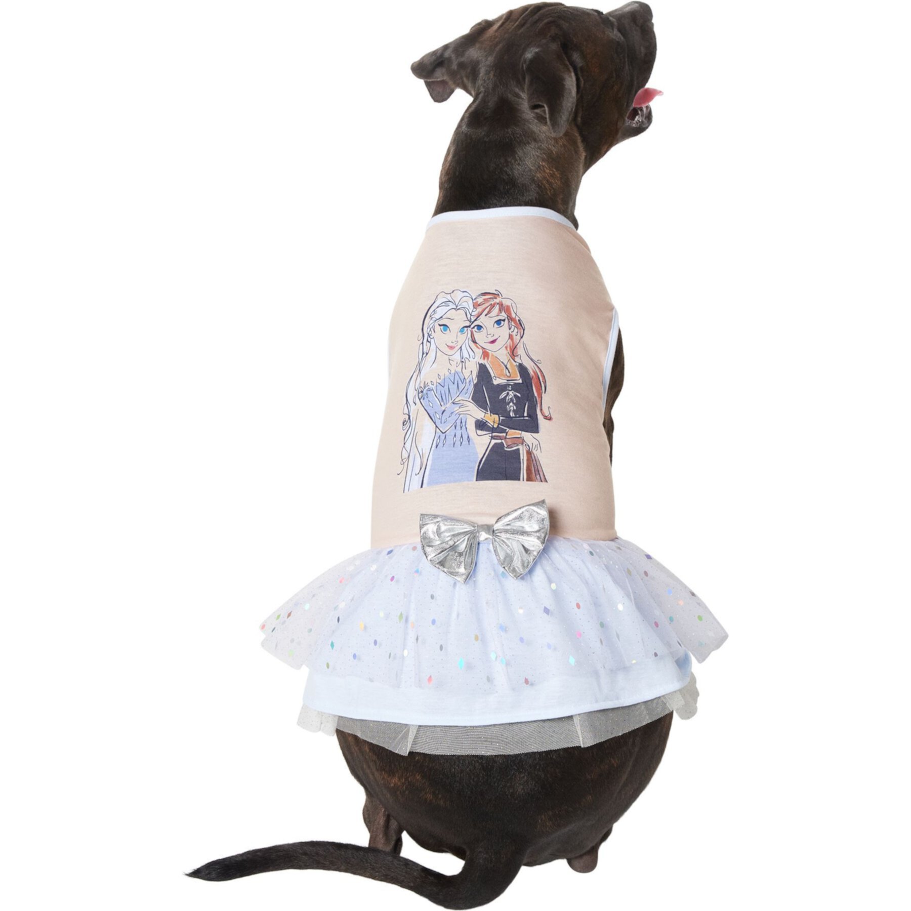 Disney Frozen's Anna & Elsa Dog & Cat Dress Disney