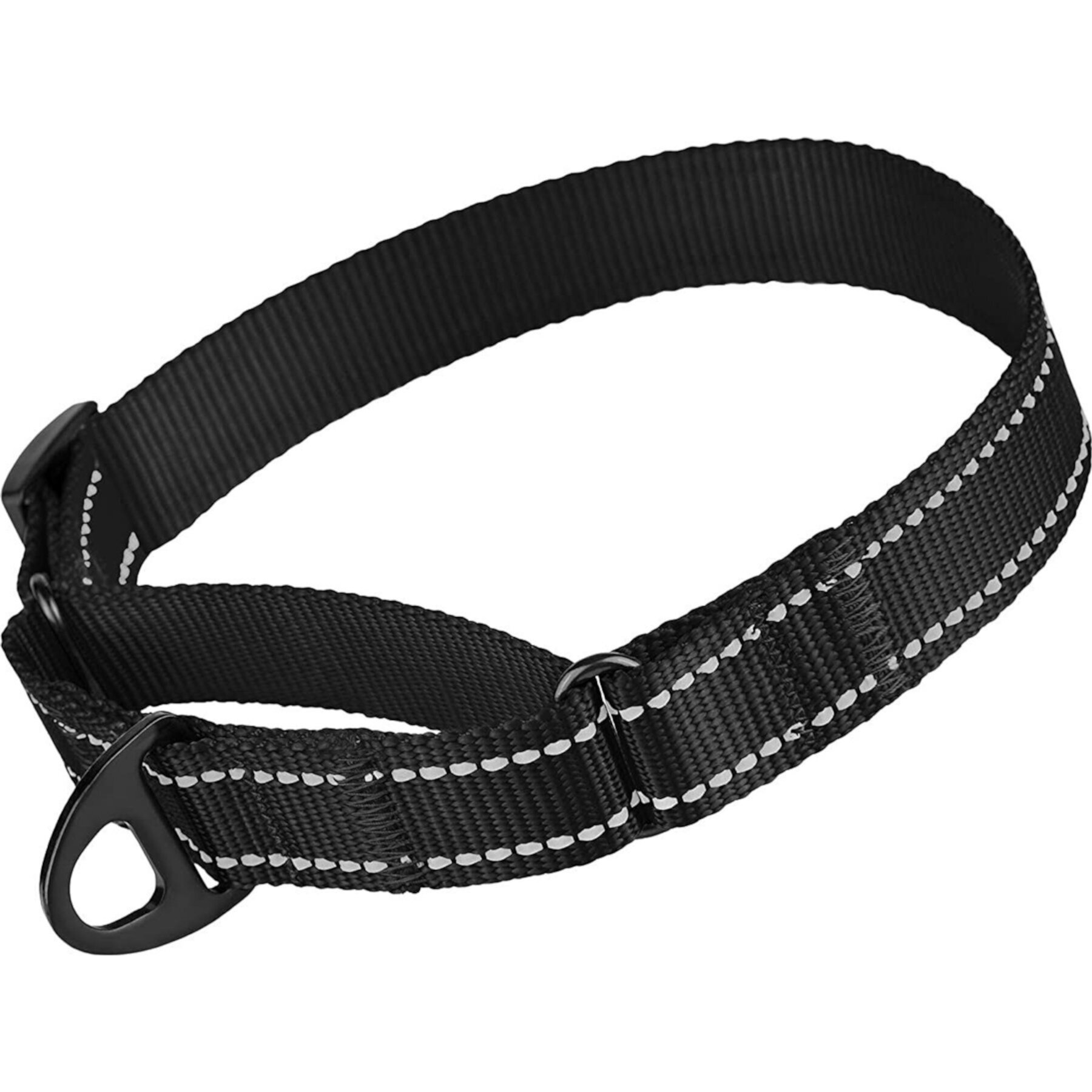 CollarDirect Reflective Martingale Nylon Dog Collar CollarDirect