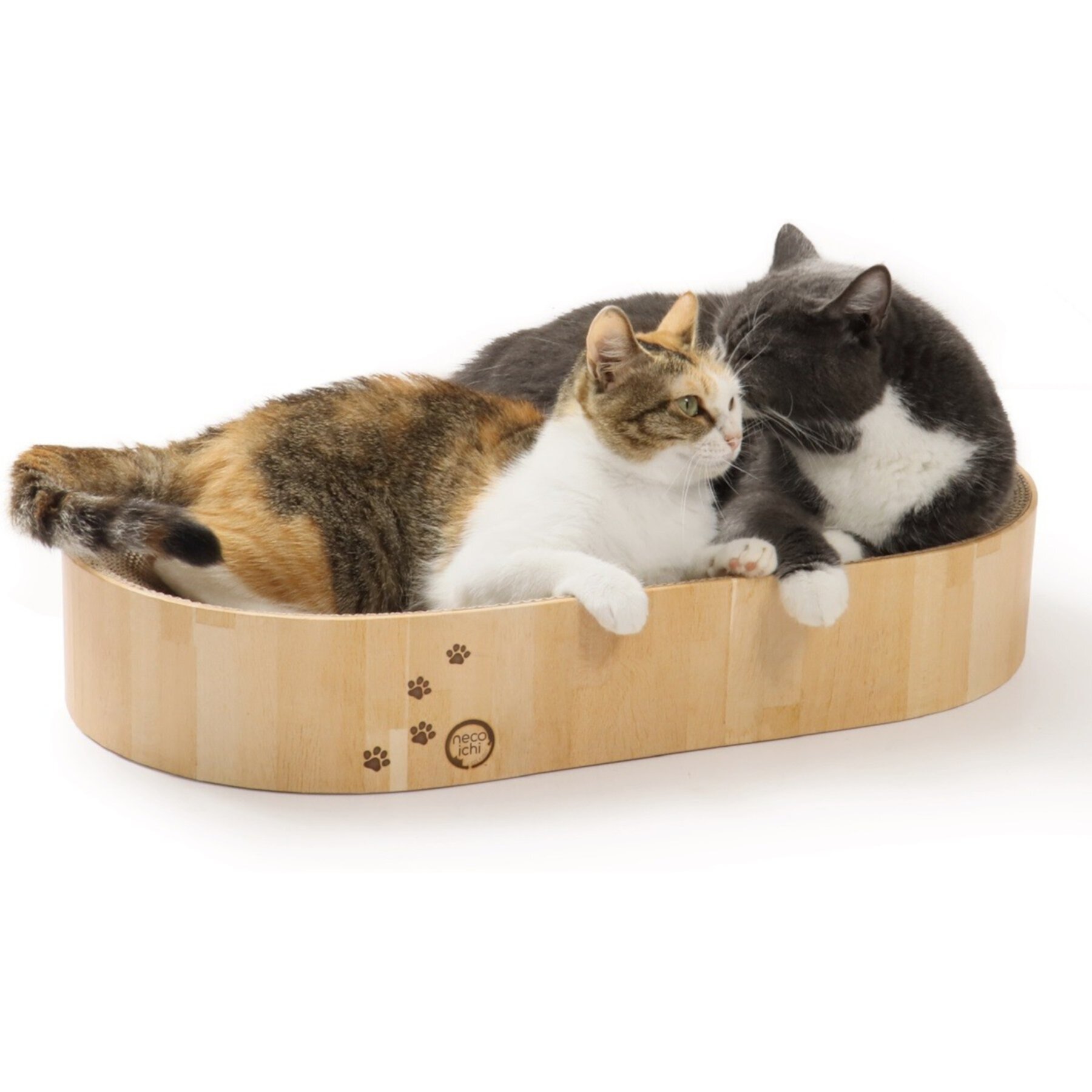 Necoichi Cozy Bowl Capsule Cat Scratcher Toy Necoichi