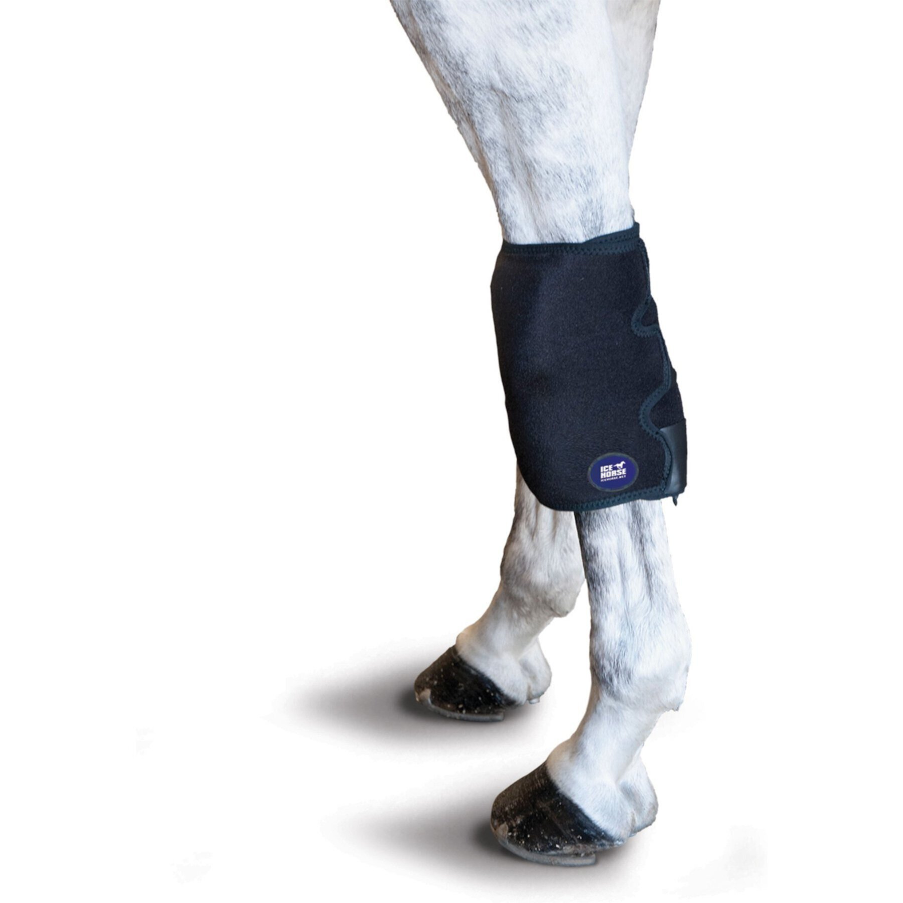 Ice Horse Horse Knee Wrap Ice Horse