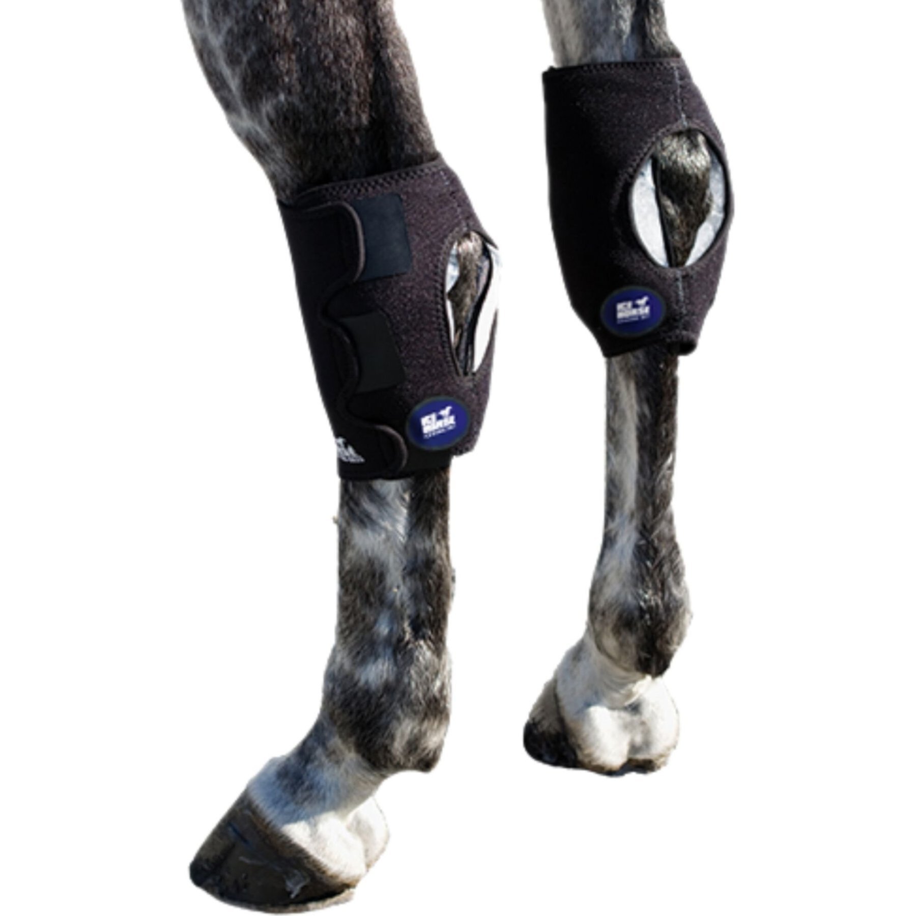 Ice Horse Hock Wrap, 2 count Ice Horse