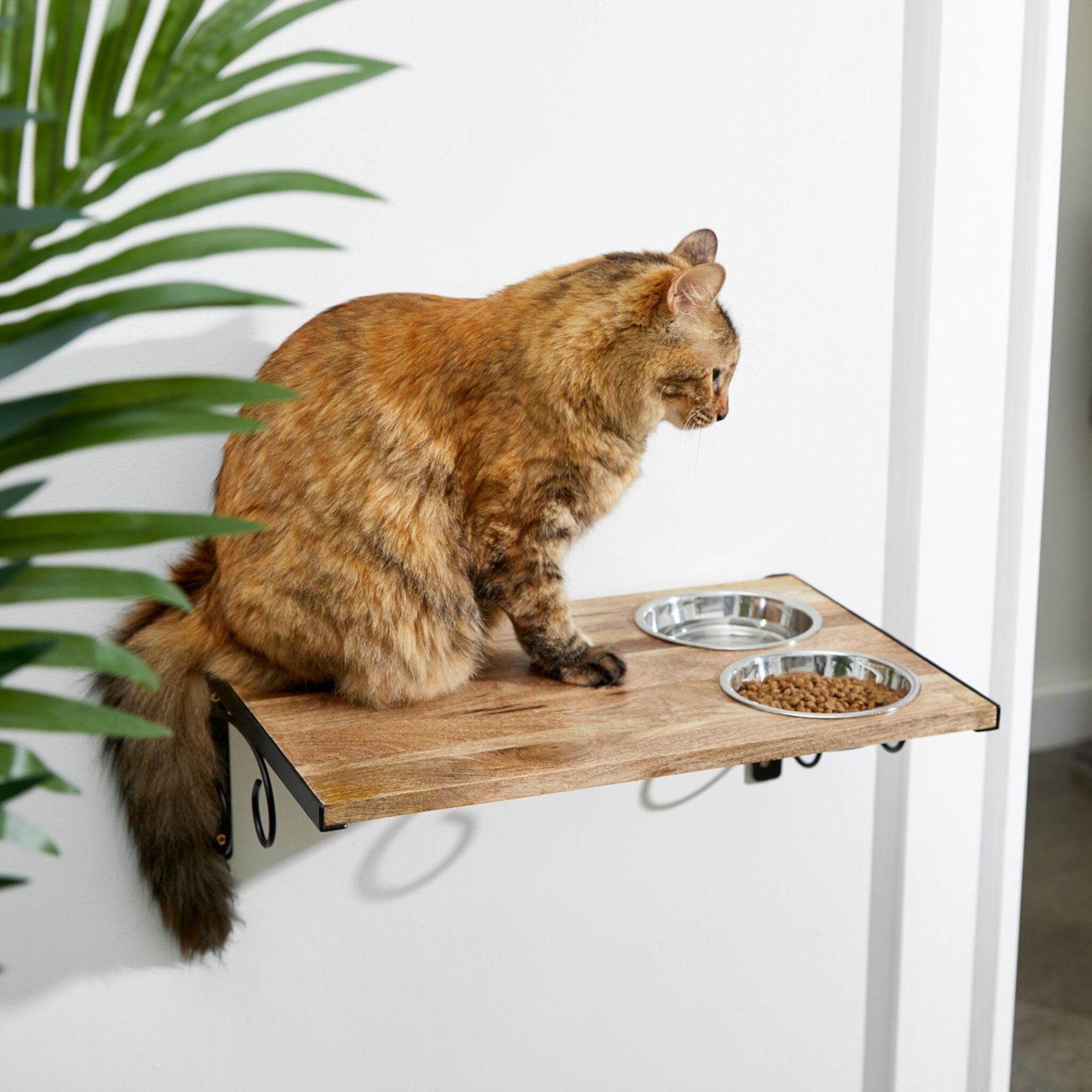 Frisco Wooden Wall Mounted Stainless Steel Cat Feeding Station with Bowl Frisco