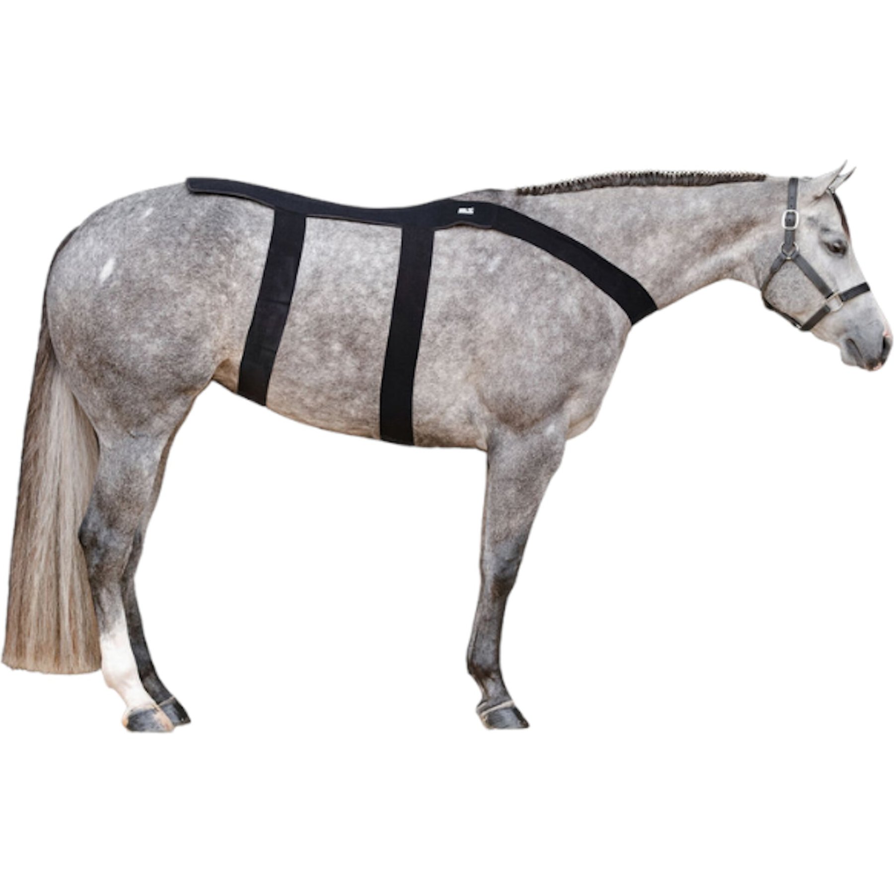 Ice Horse Back Horse Blanket Ice Horse