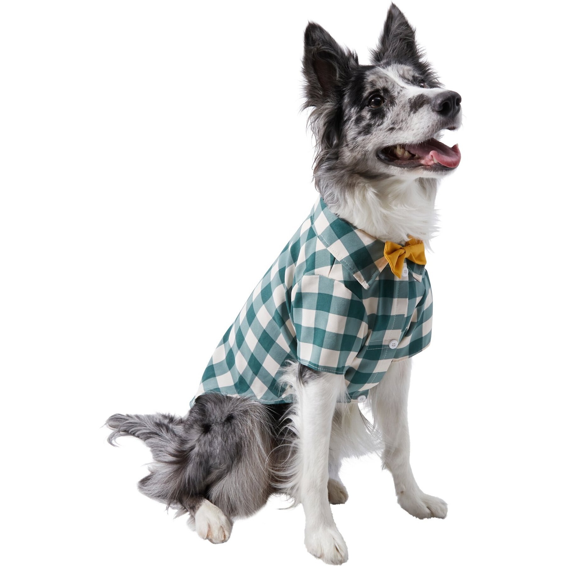 Frisco Boho Plaid Dog & Cat Shirt Frisco