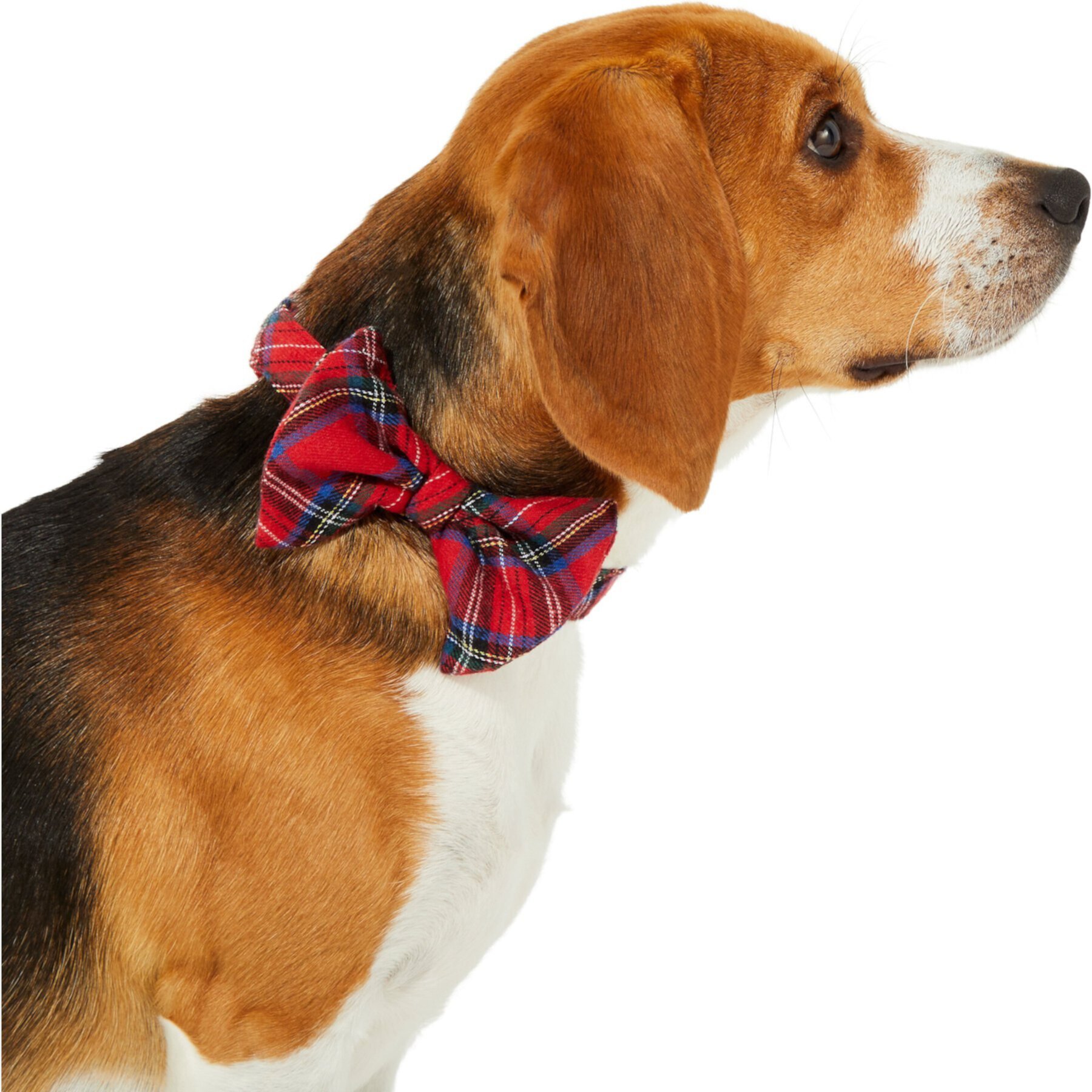 Frisco Red/Green Plaid Dog & Cat Bow Tie Frisco