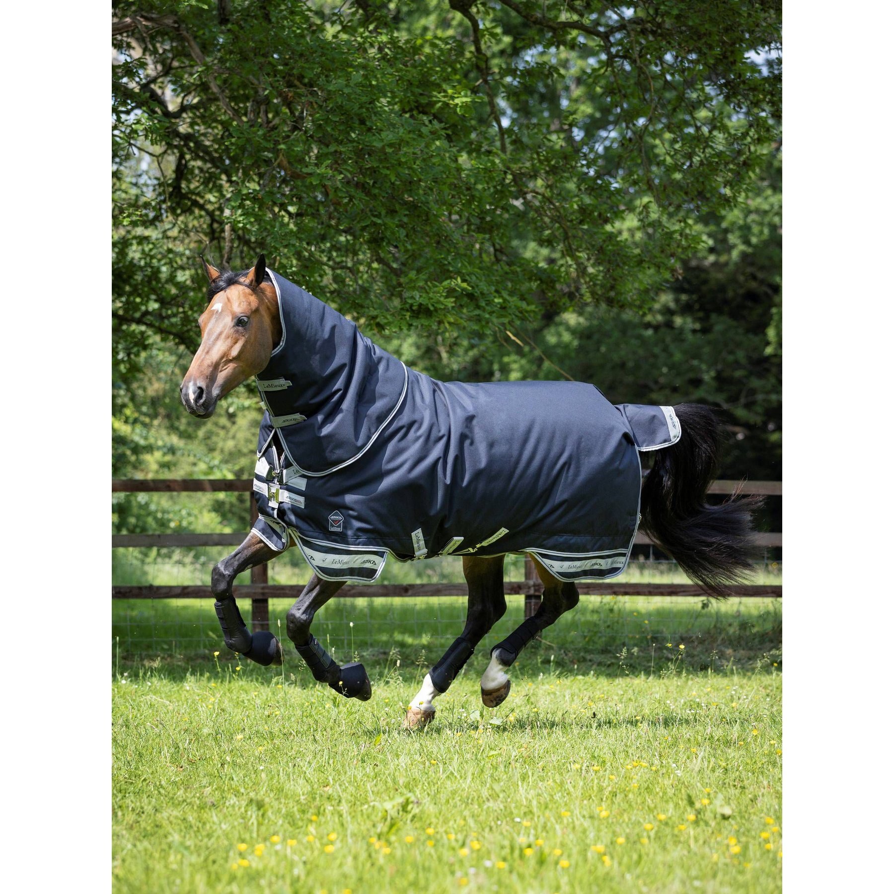 LeMieux Arika Storm-Tek 200g Horse Rug, Navy LeMieux