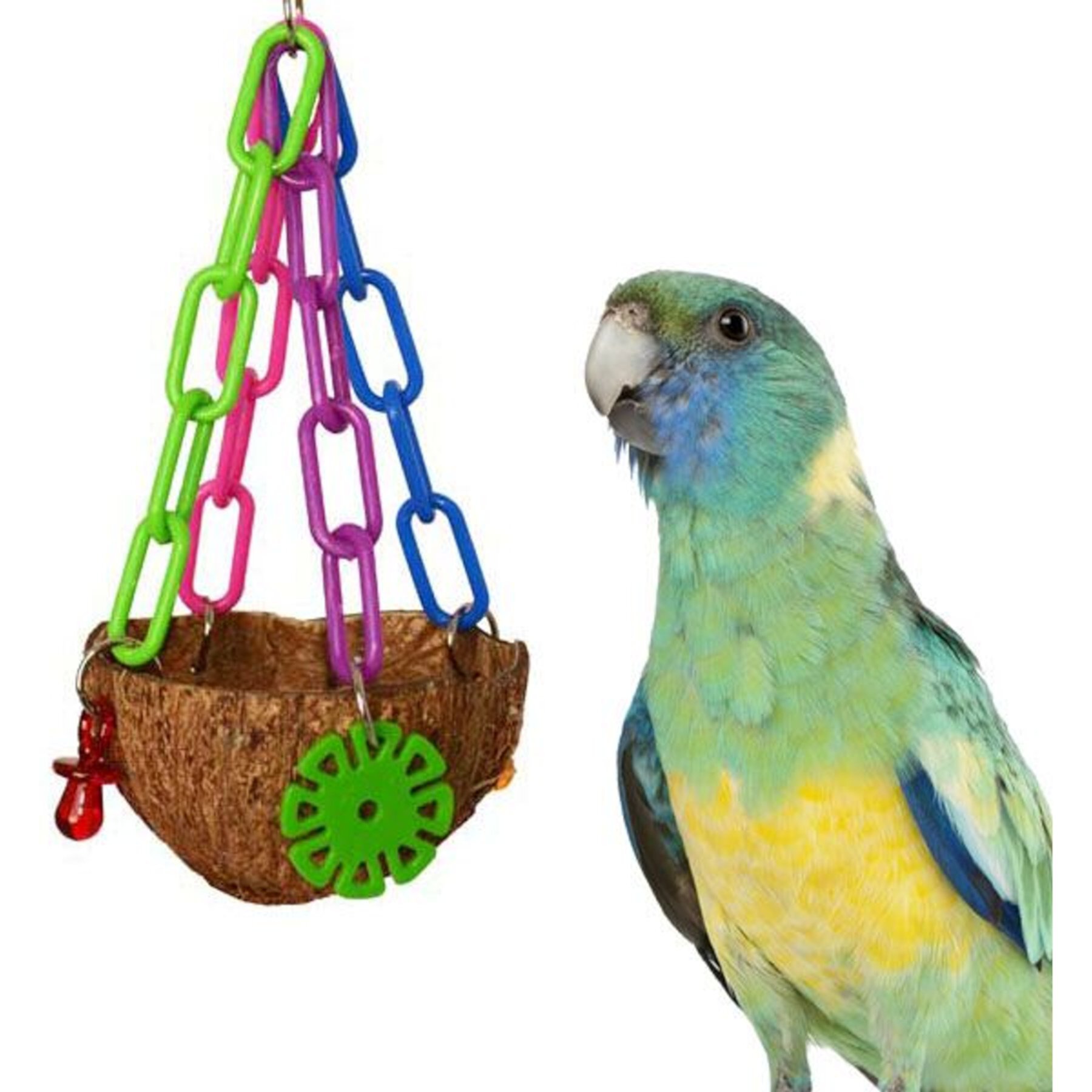 Super Bird Creations Coco Treat Cup Bird Toy Super Bird Creations