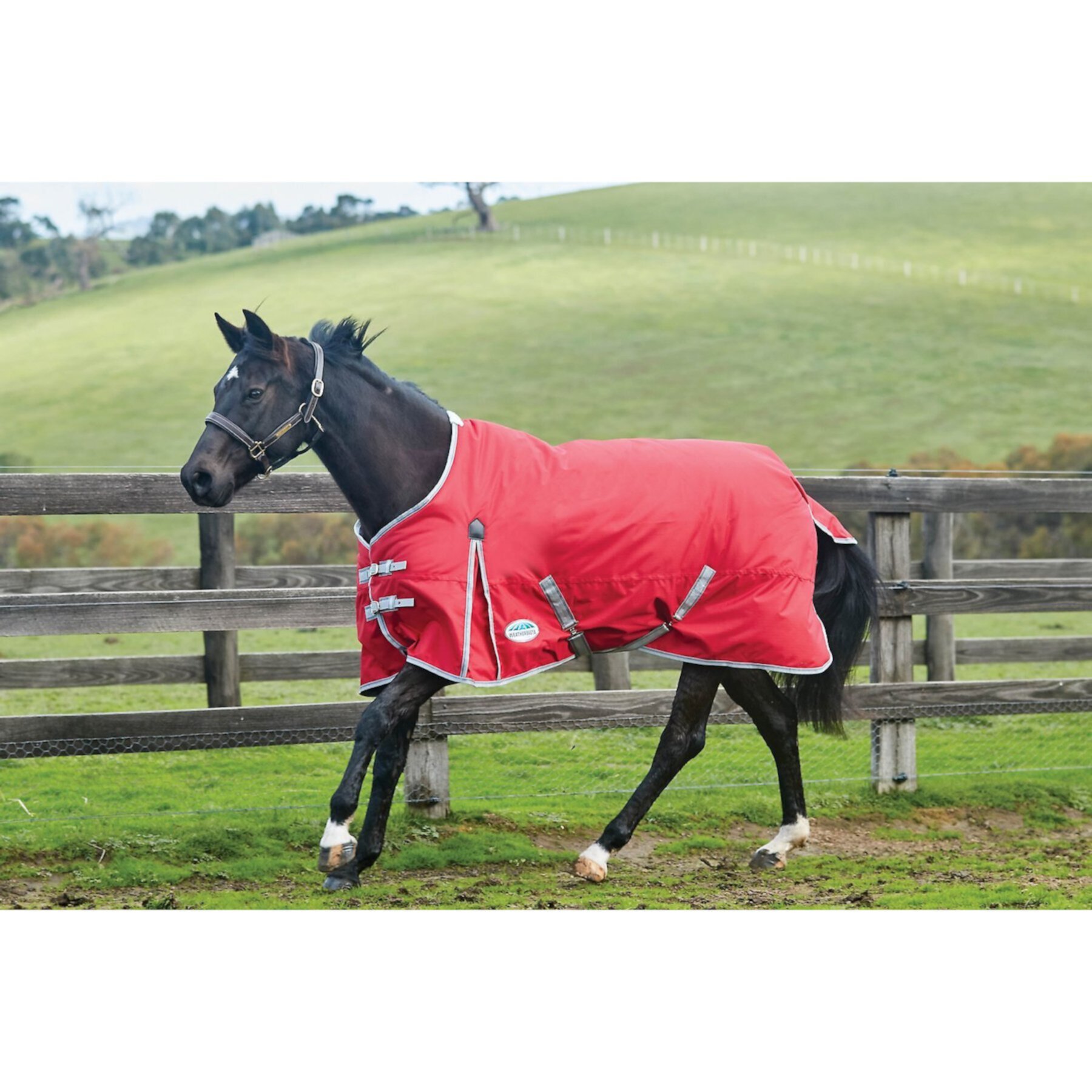 WeatherBeeta Comfitec Classic Standard Neck Lite Horse Blanket Weatherbeeta