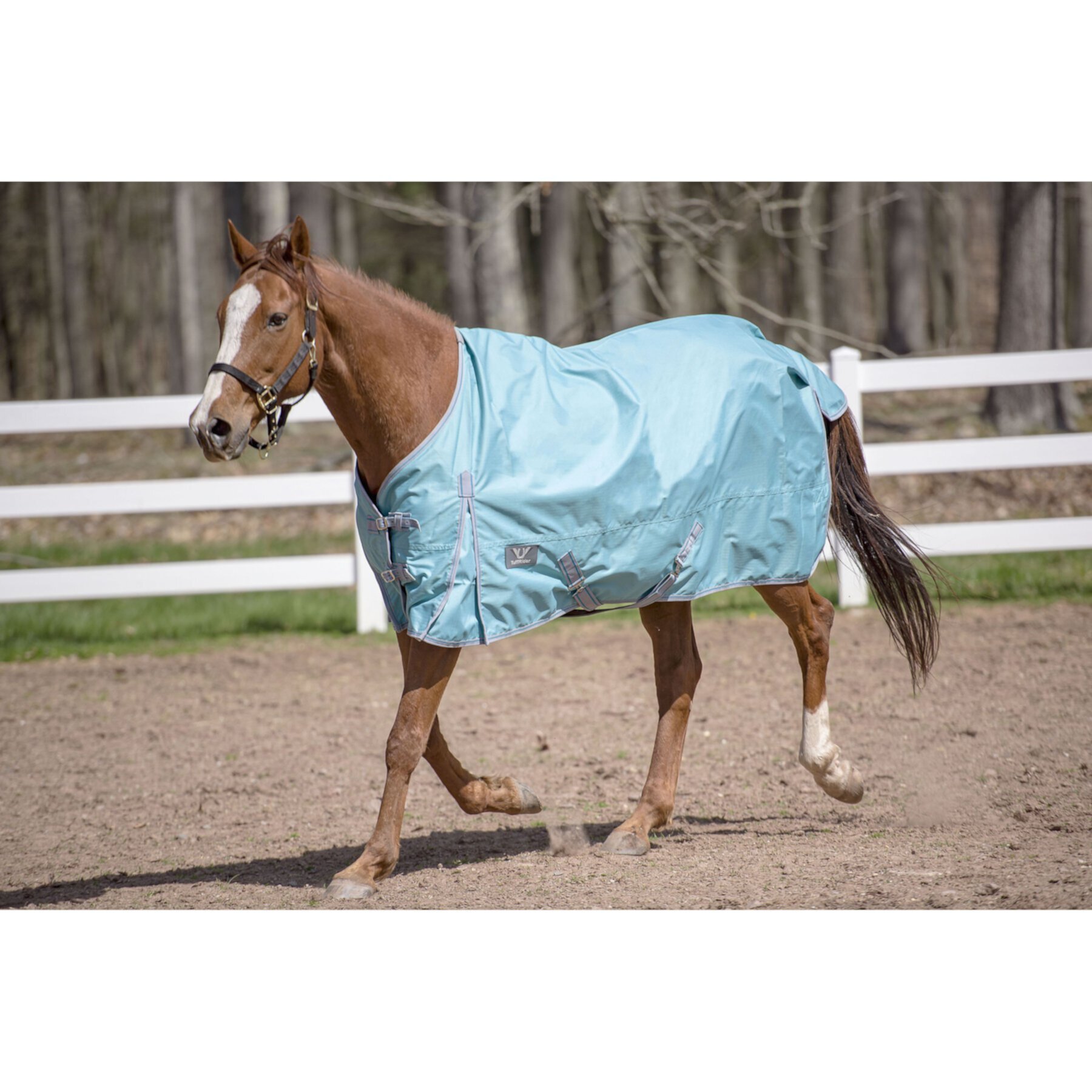 TuffRider 600 D Comfy Winter Standard Neck Horse Turnout Sheet TuffRider