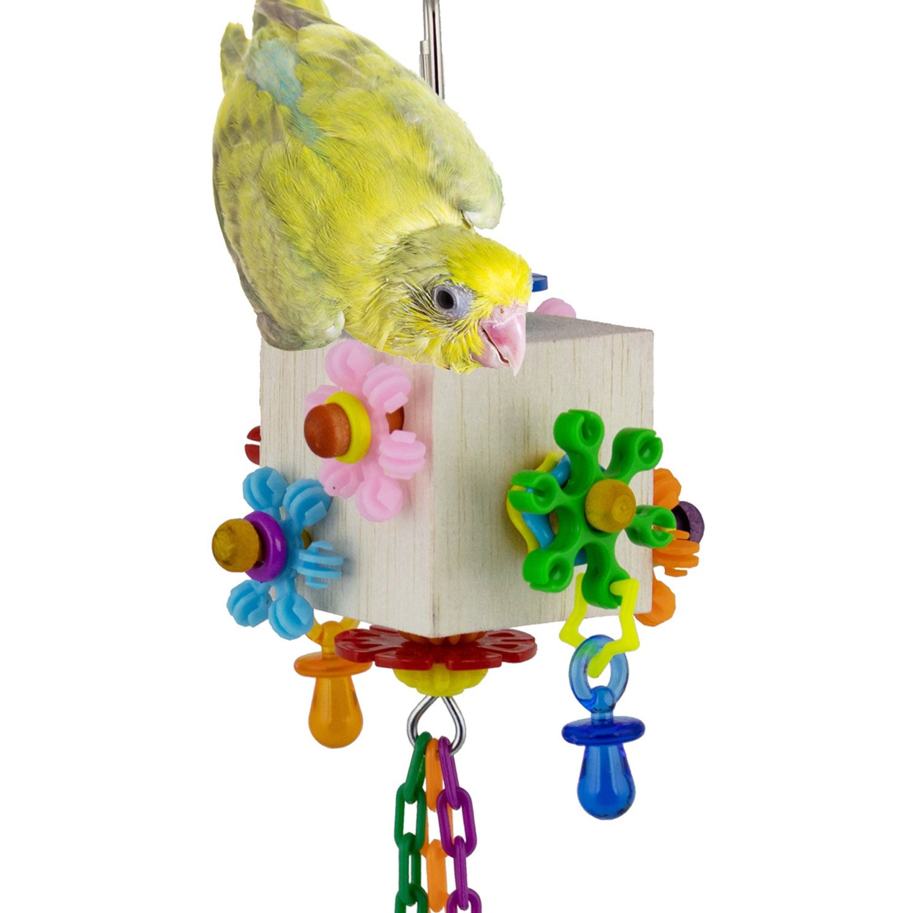 Super Bird Creations Dancing Daisies Bird Toy Super Bird Creations